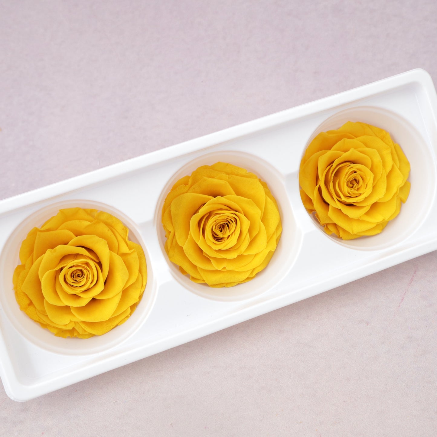 Rose Yellow 3 heads