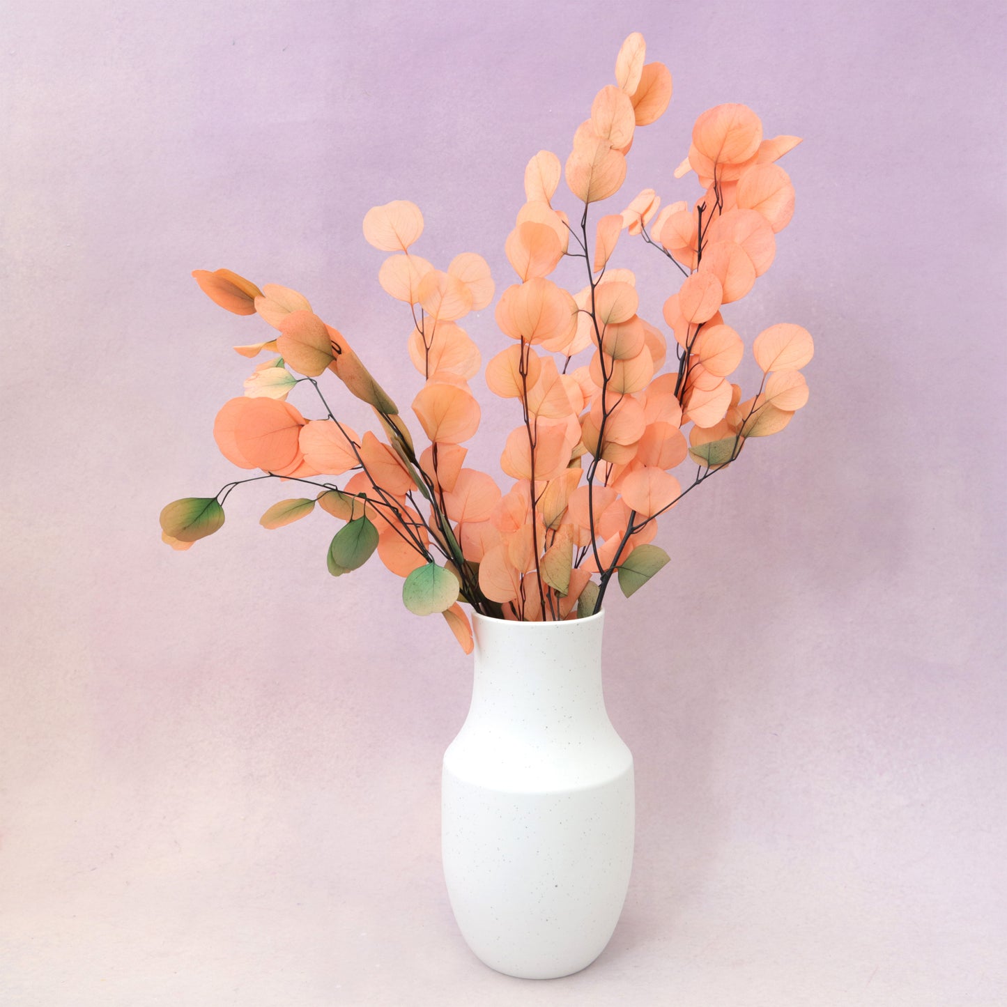 Poly Gum Ombré Peach