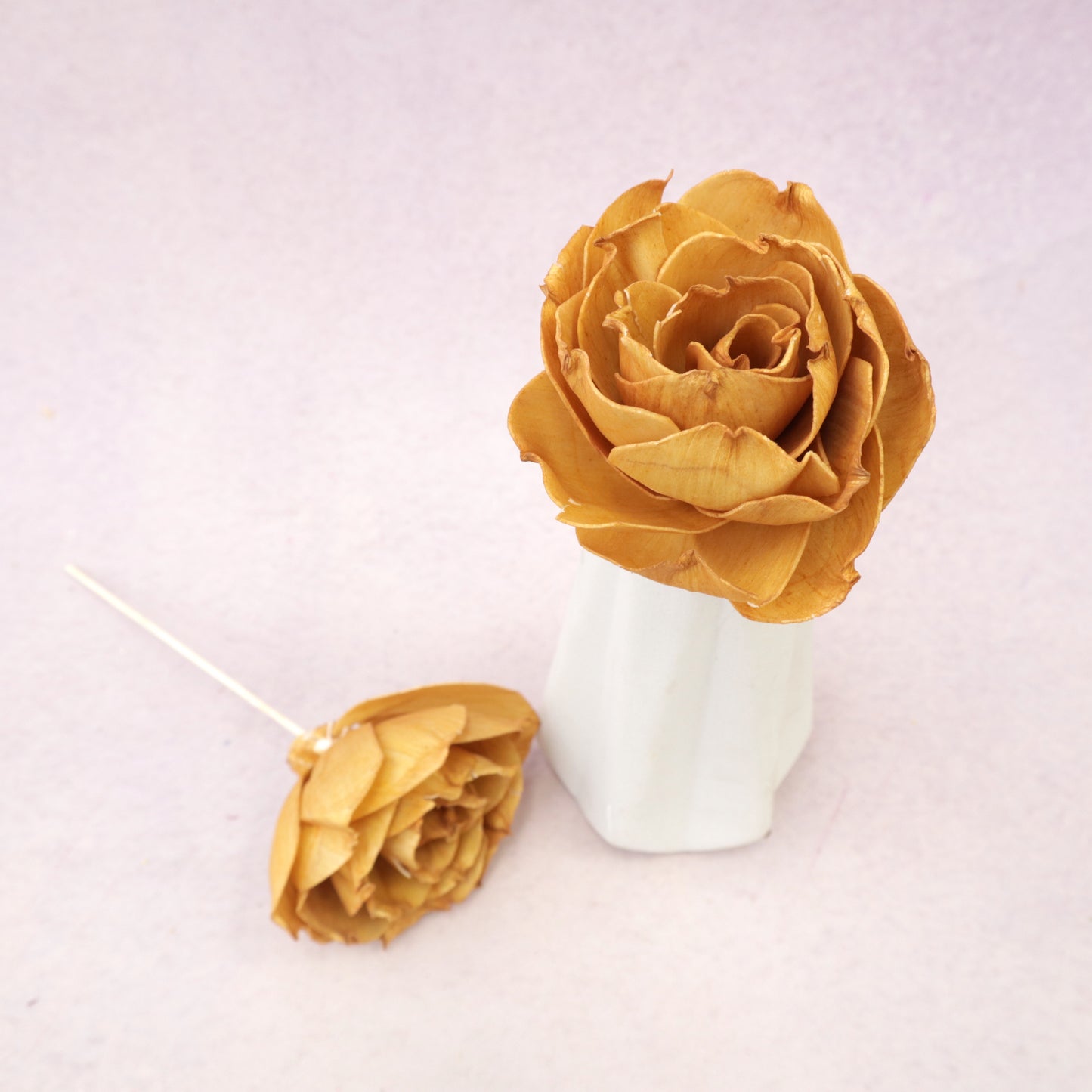 Rosa Chinensis Mustard