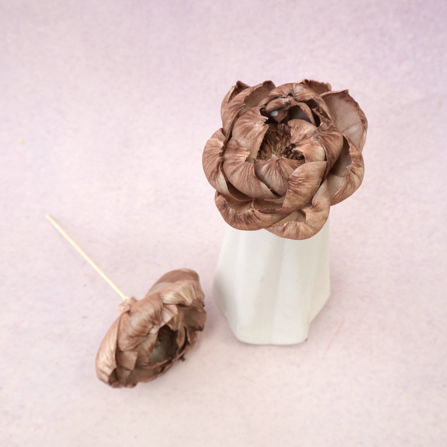 Sola Flower Peony Coffee