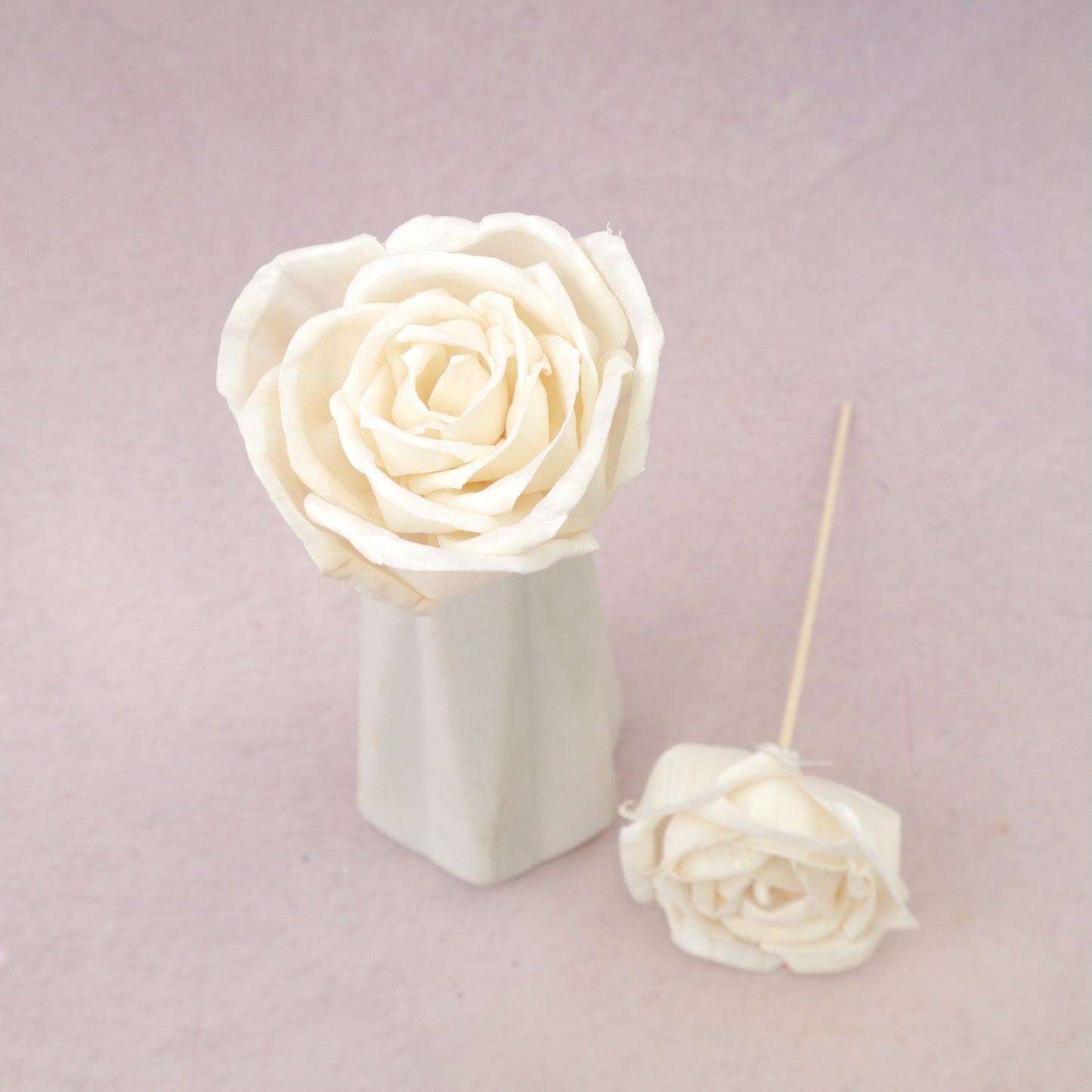 Sola Flower Rose