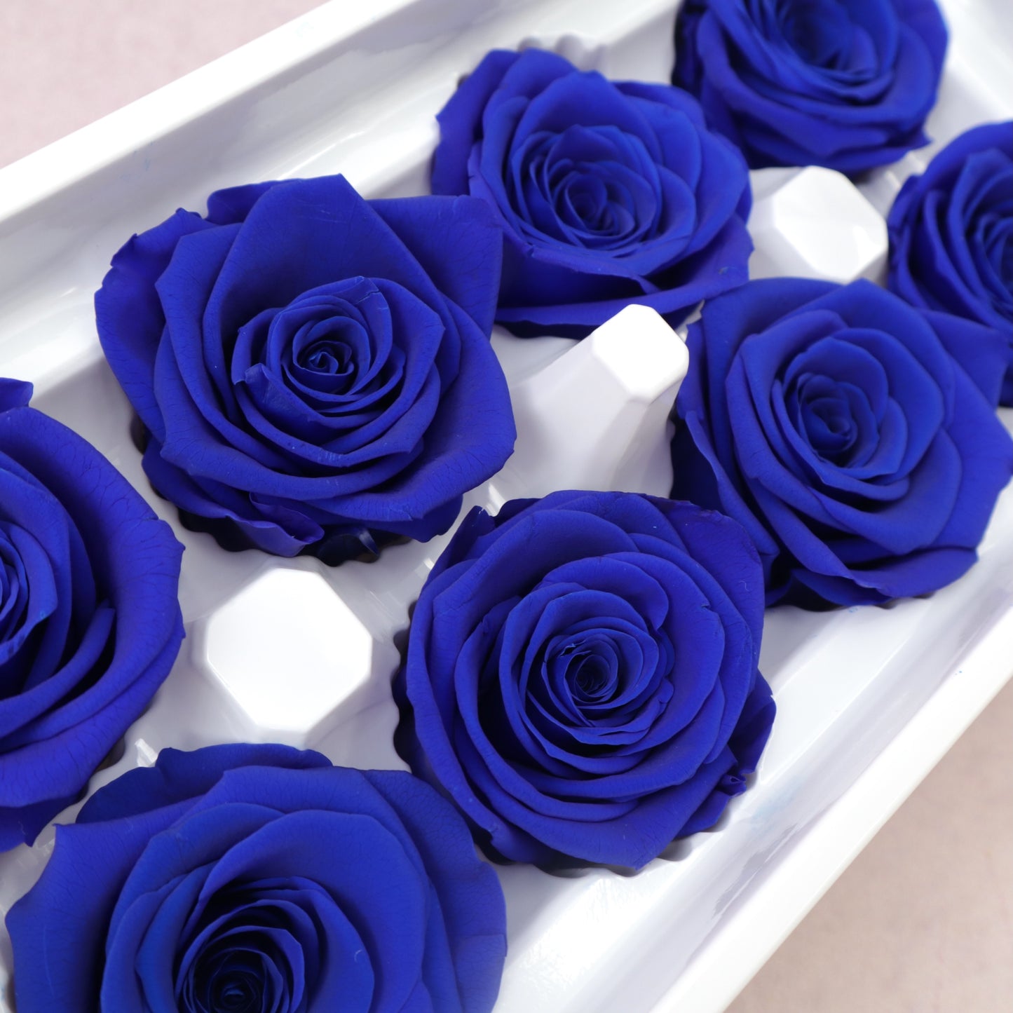 Rose Royal Blue 8 Heads