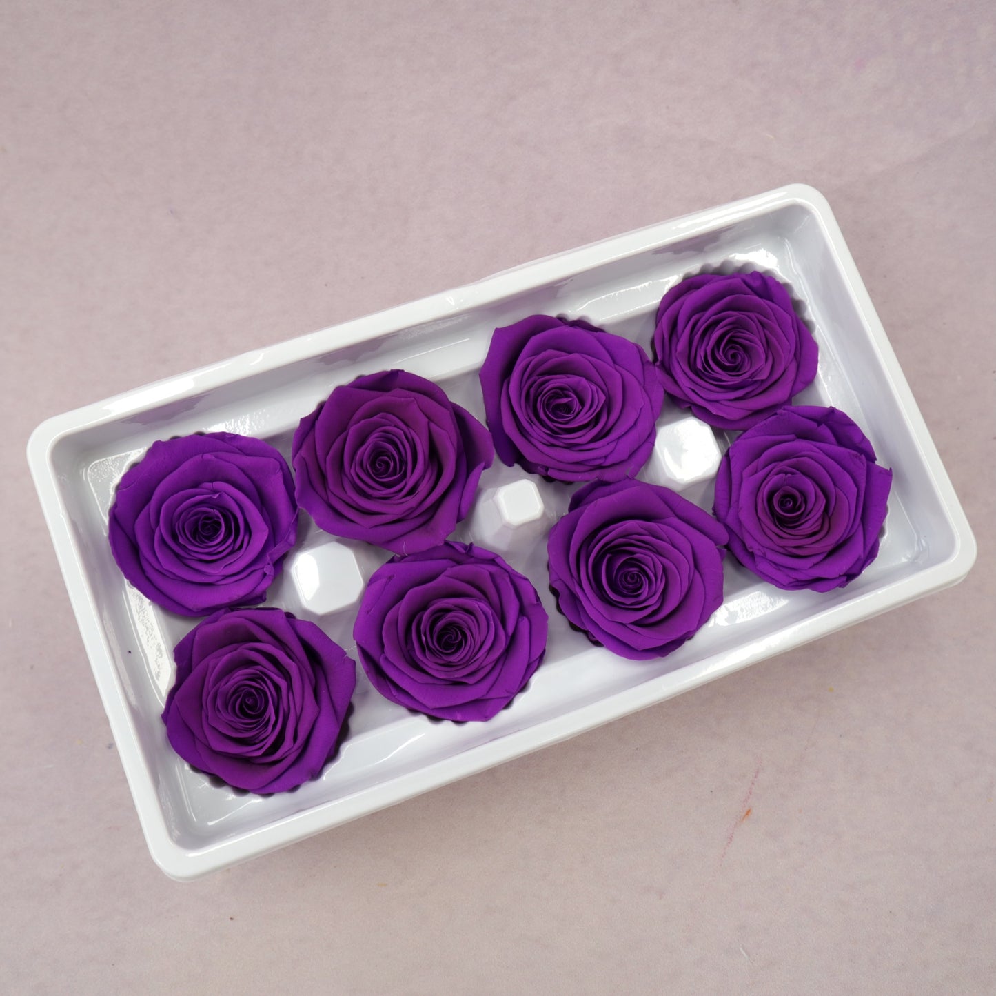 Rose Royal Purple 8 heads
