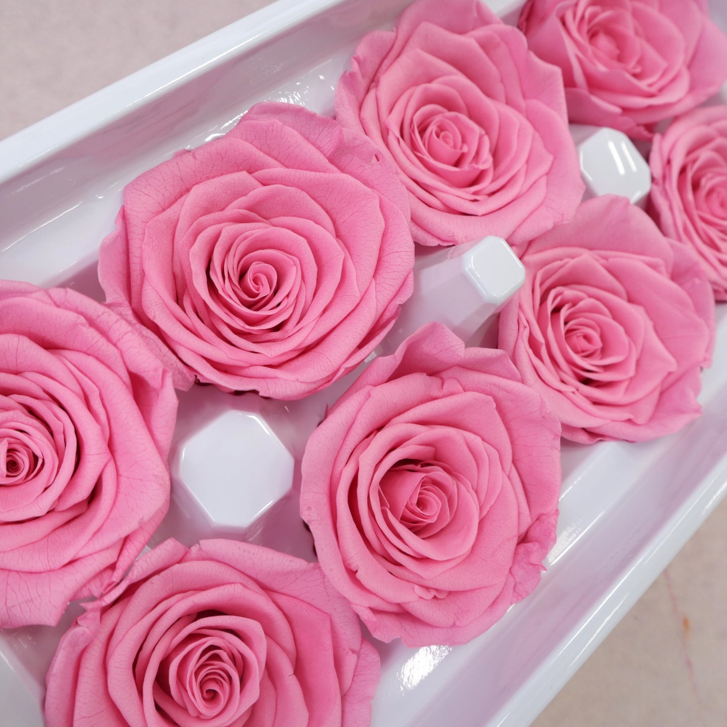 Rose Barbie Pink 8 Heads