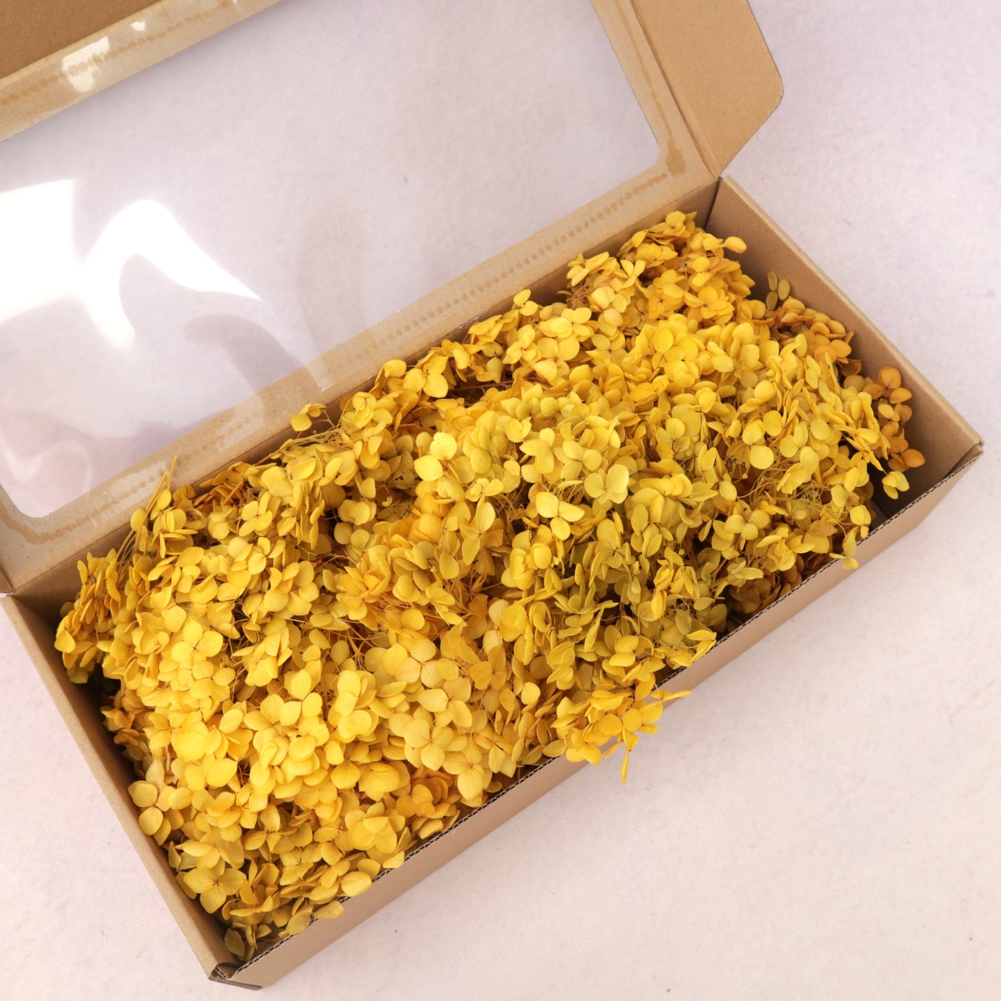 Annabelle Hydrangea 100g Box Gold Yellow