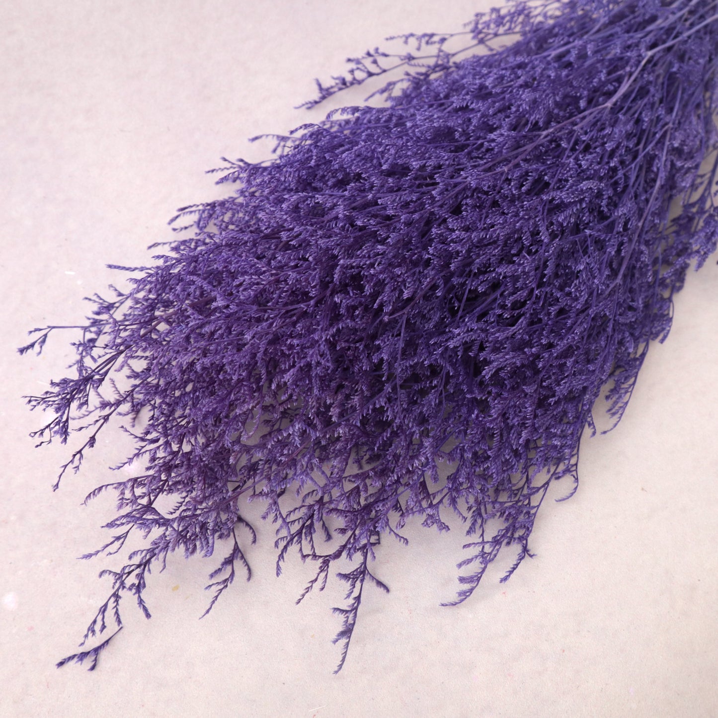 Misty Bleached Royal Purple