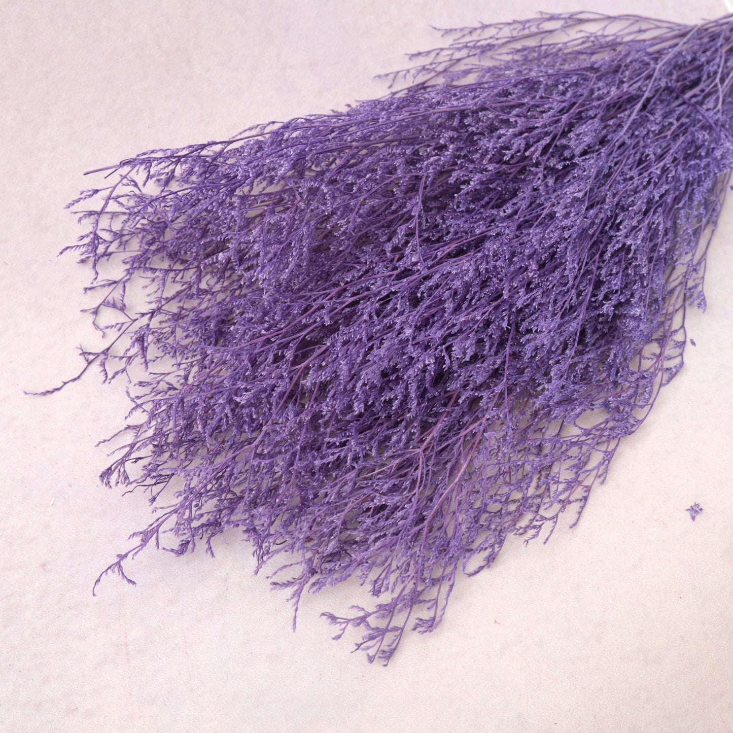 Misty Bleached Purple