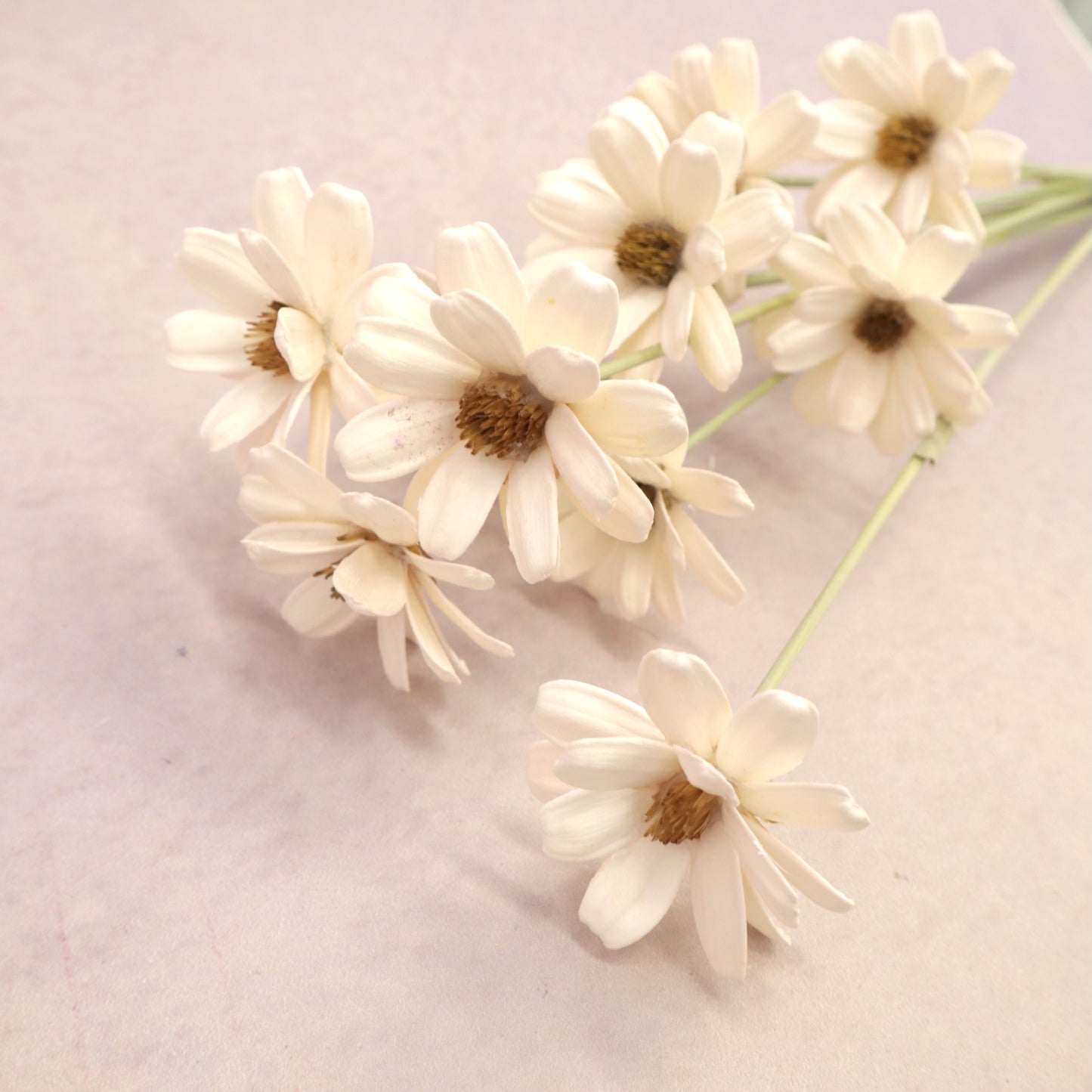 Handmade Daisy White