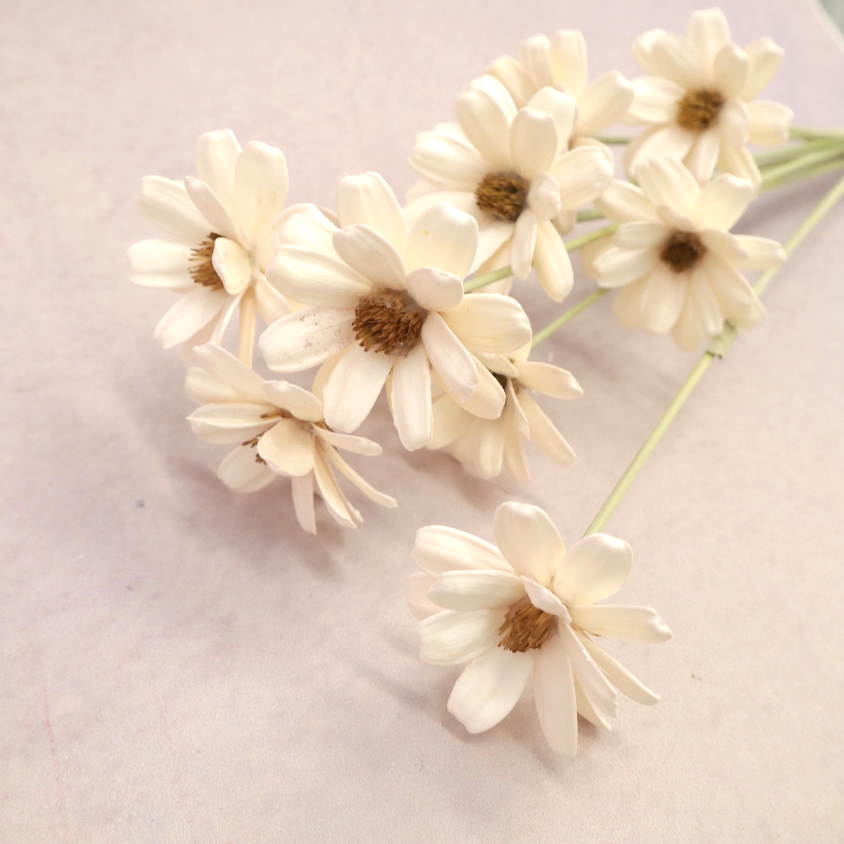 Handmade Daisy White
