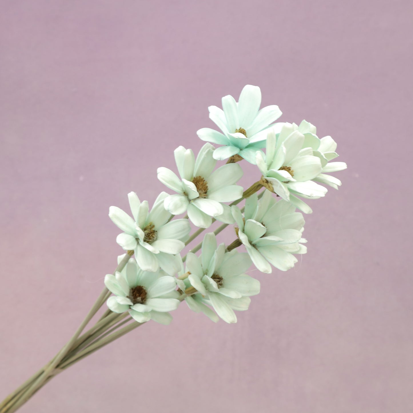 Handmade Daisy Light Green