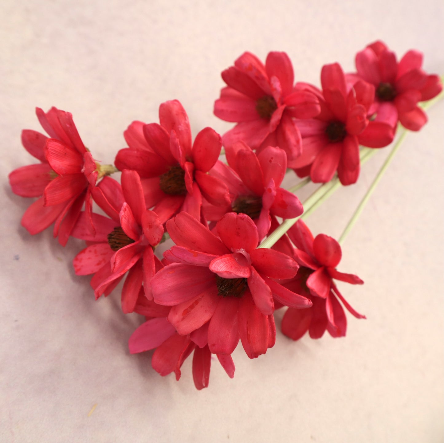 Handmade Daisy Red