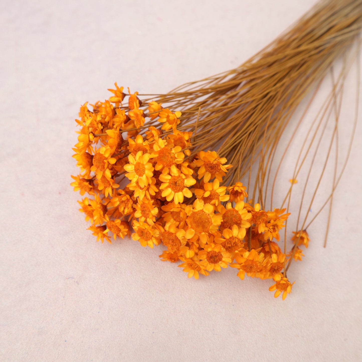 Star Flower Orange