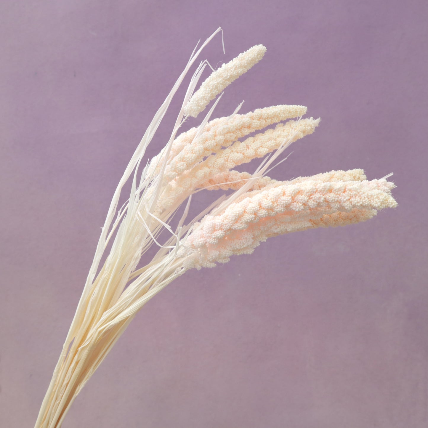 Dried Millets Pastel Pink