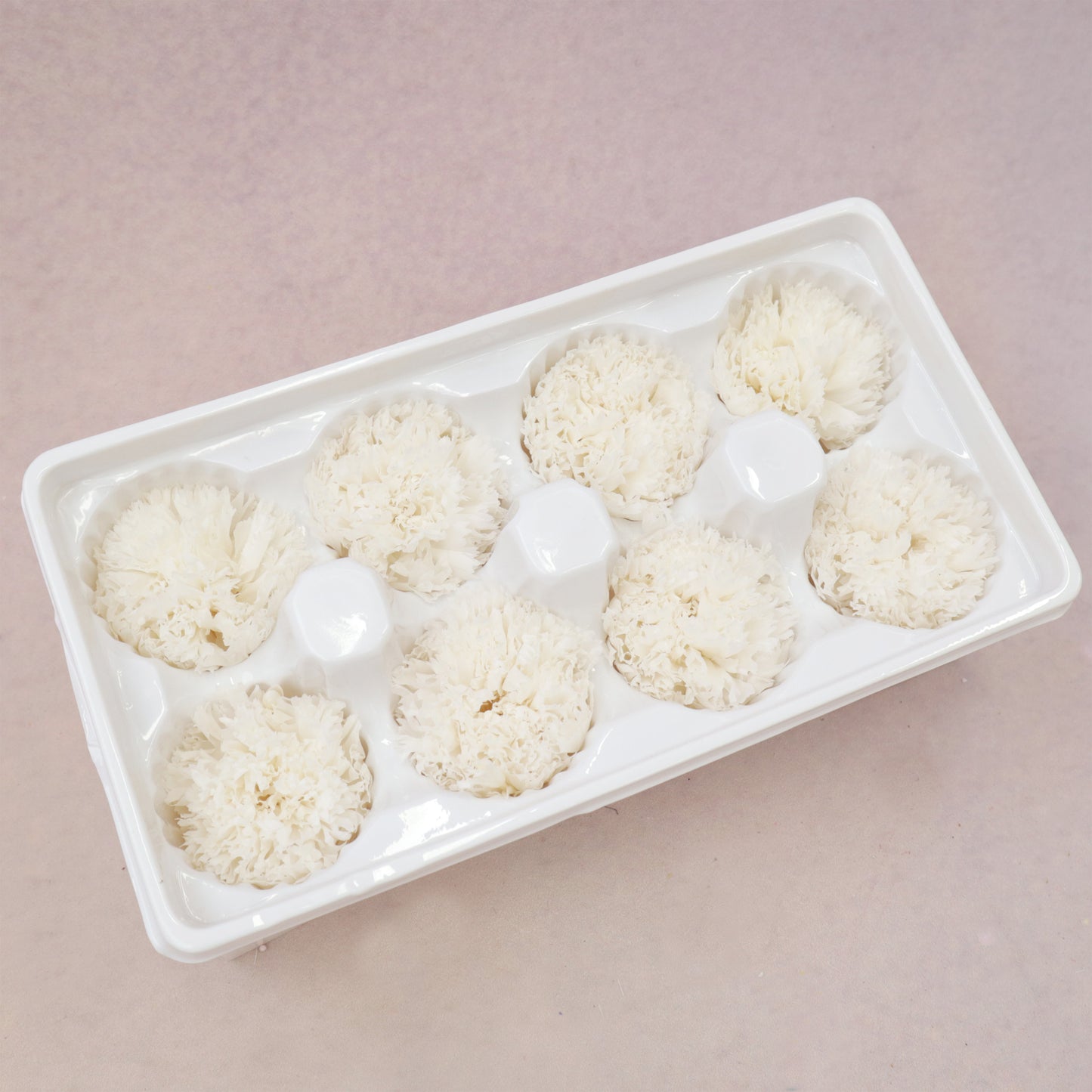 Carnation White 8 Heads