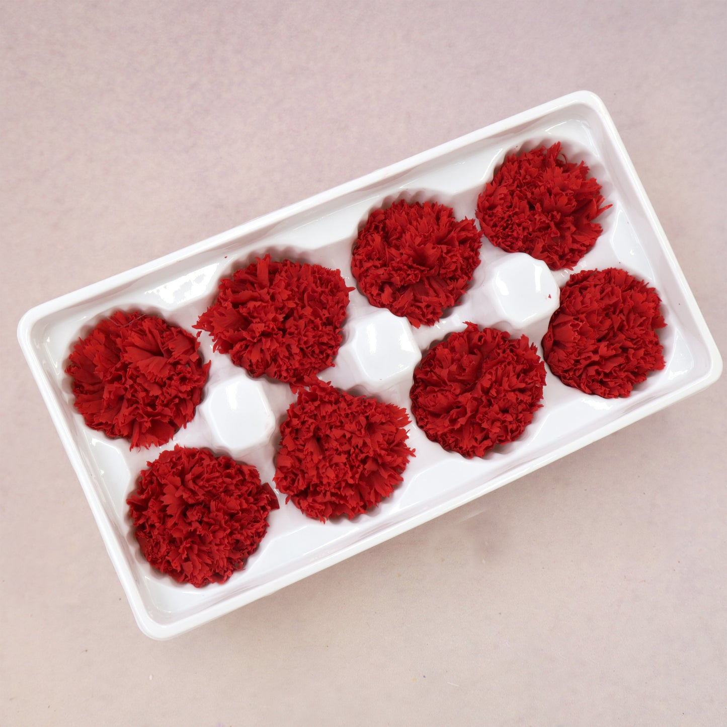 Carnation Red 8 Heads