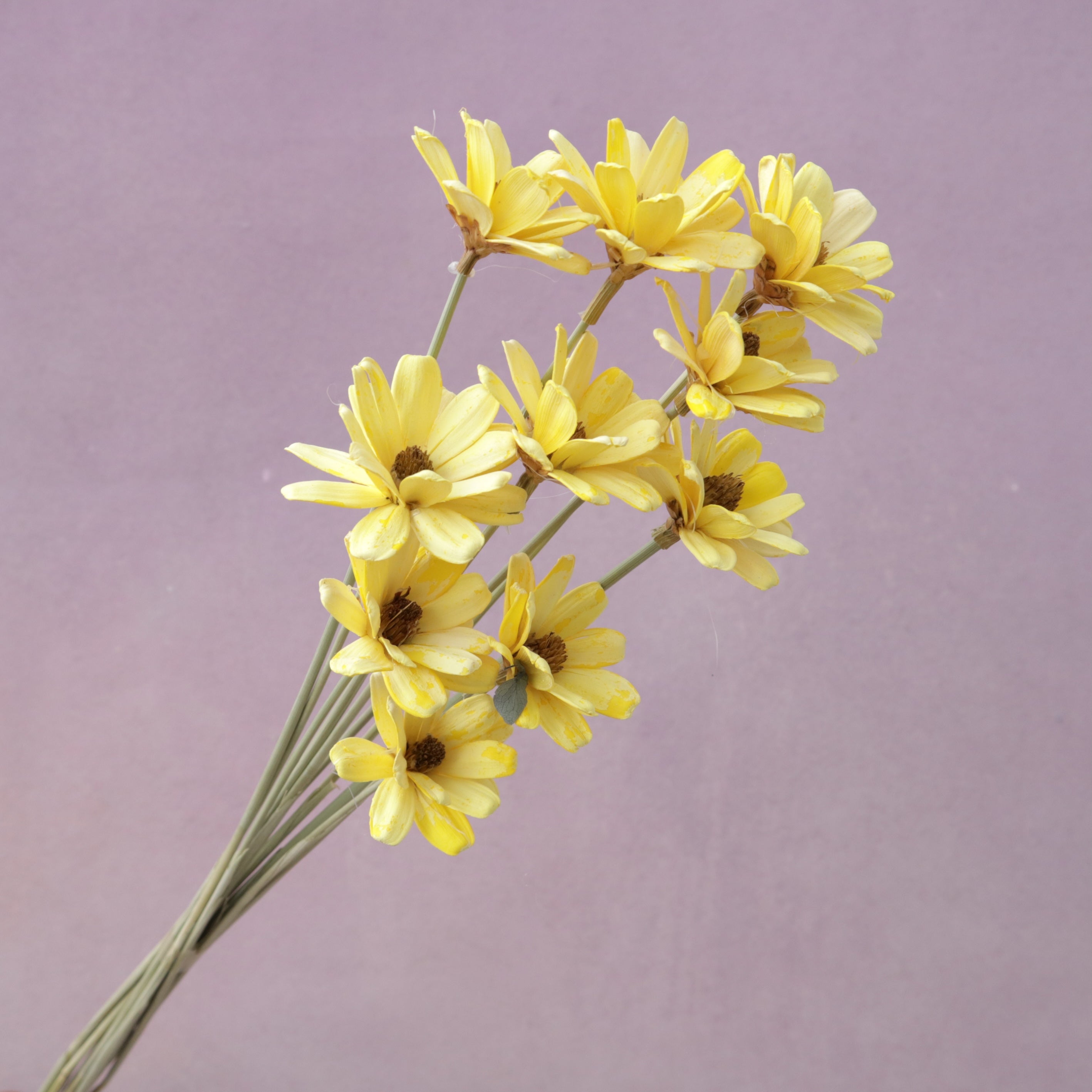 Handmade Daisy Yellow