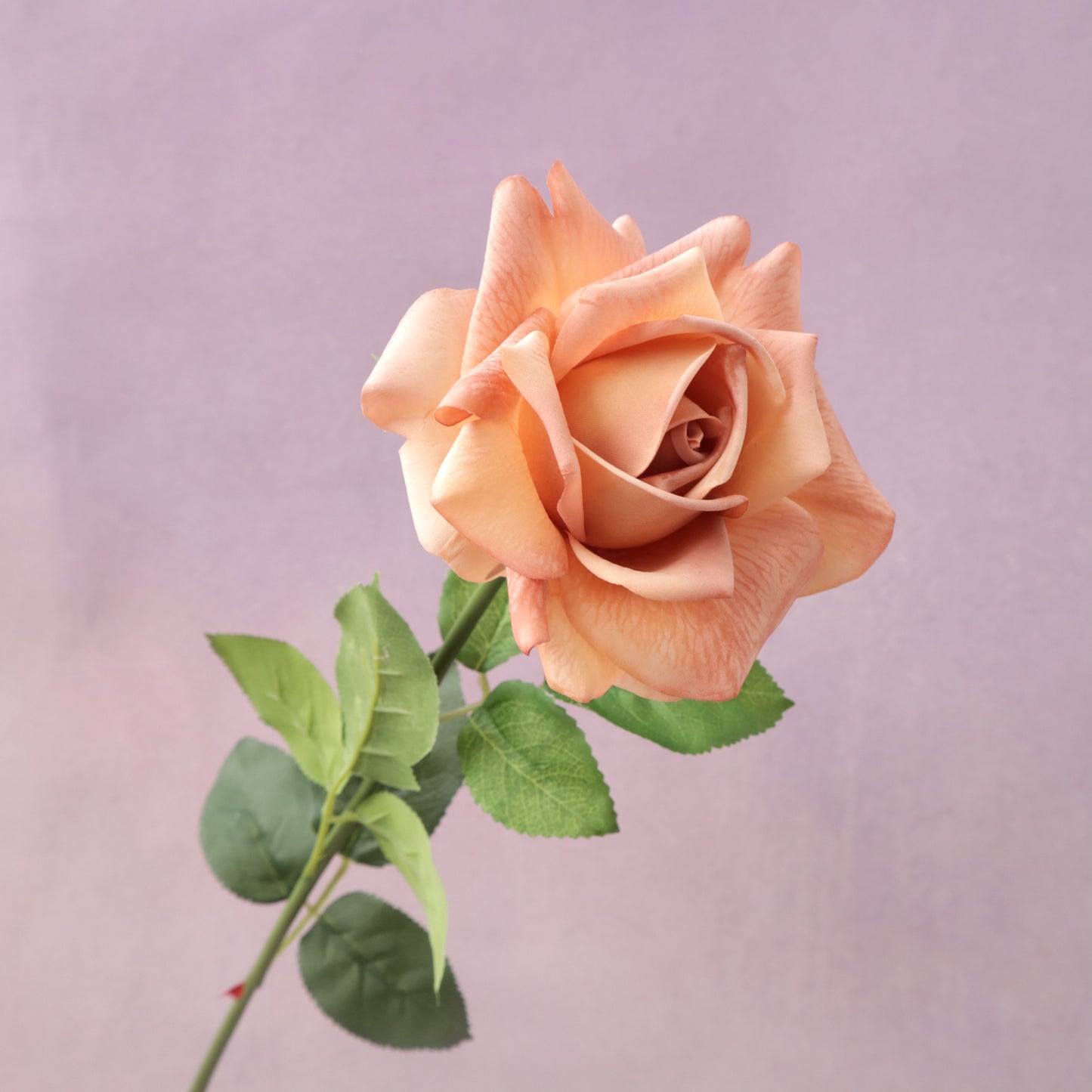 Artificial Real Touch Rose Caramel