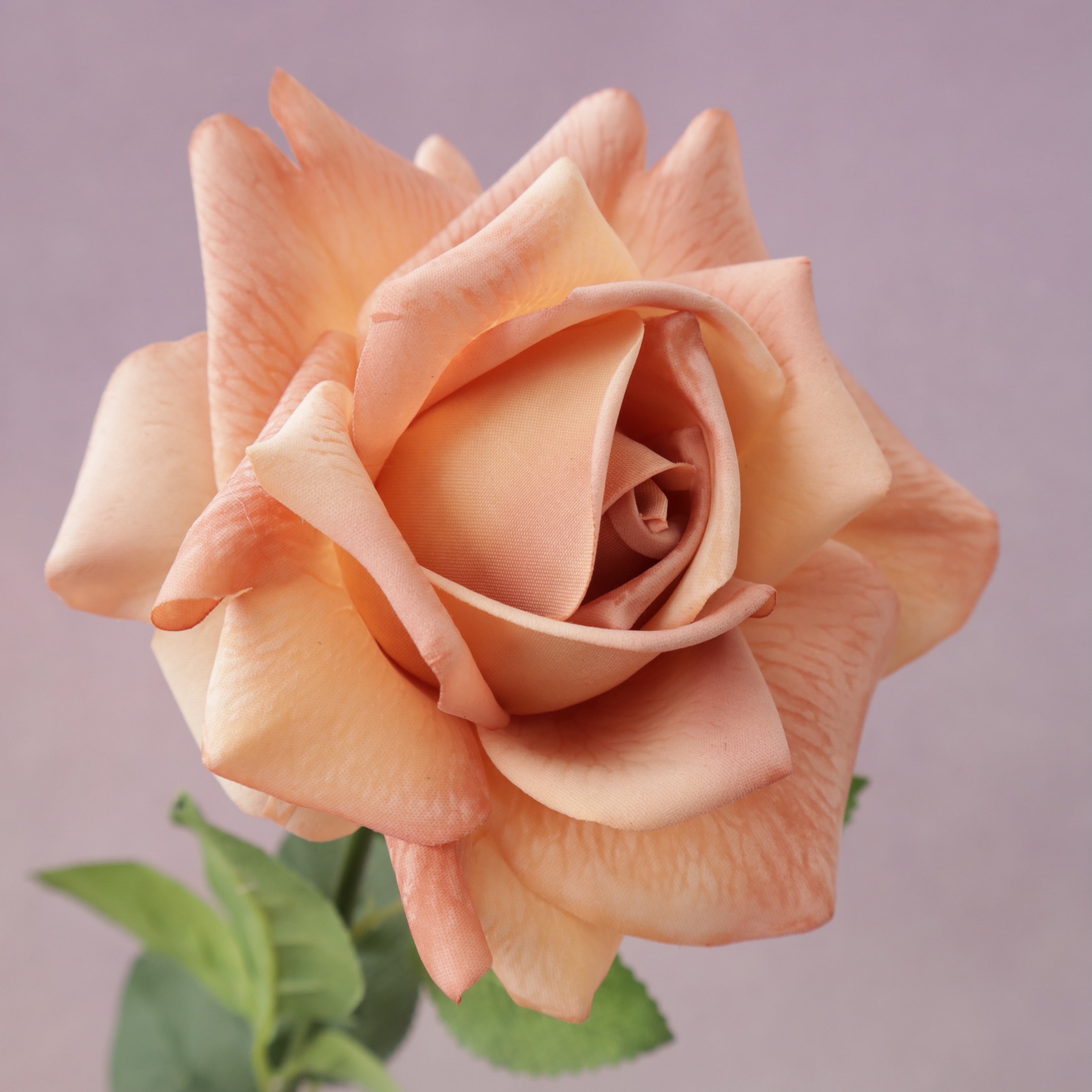 Artificial Real Touch Rose Caramel