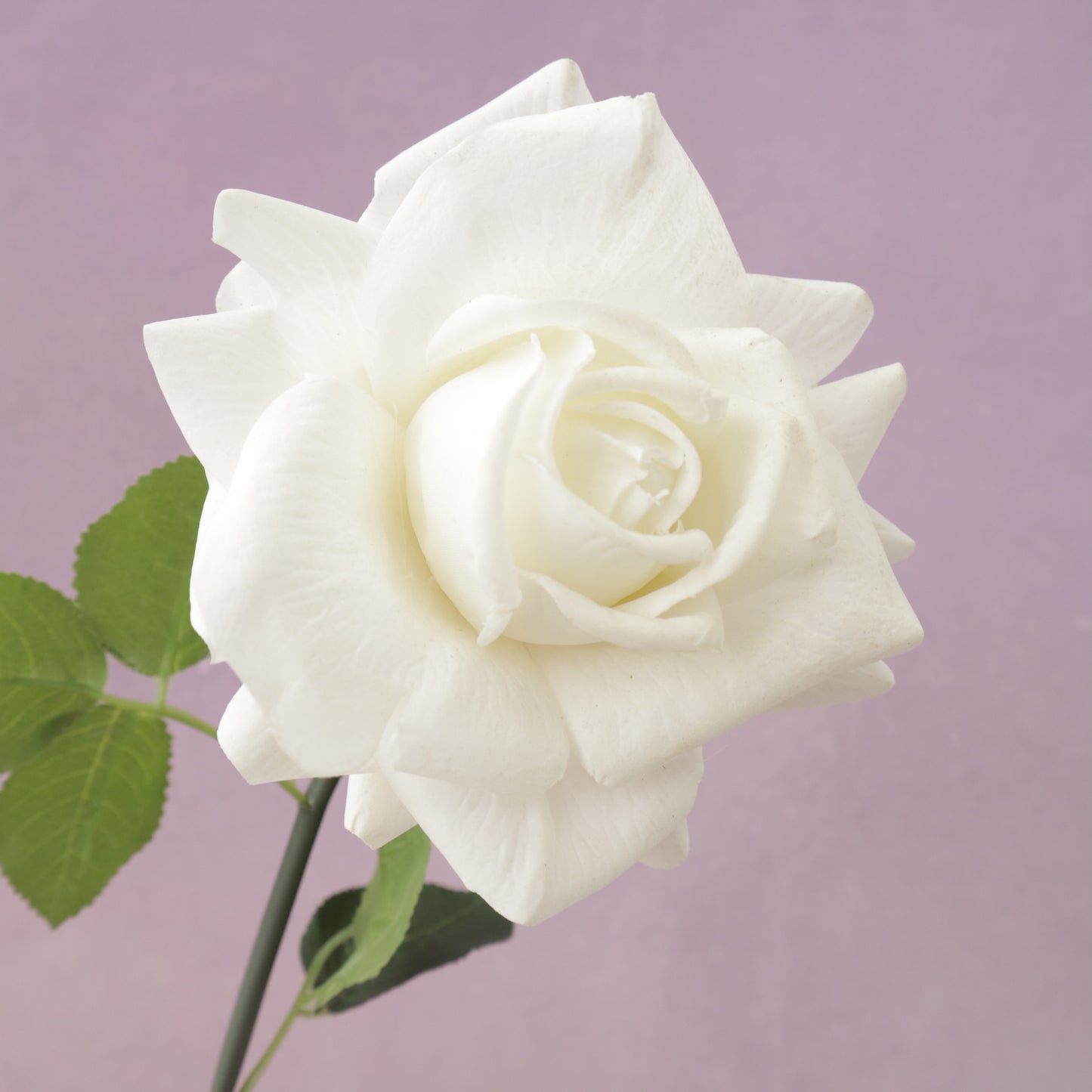 Artificial Real Touch Rose White