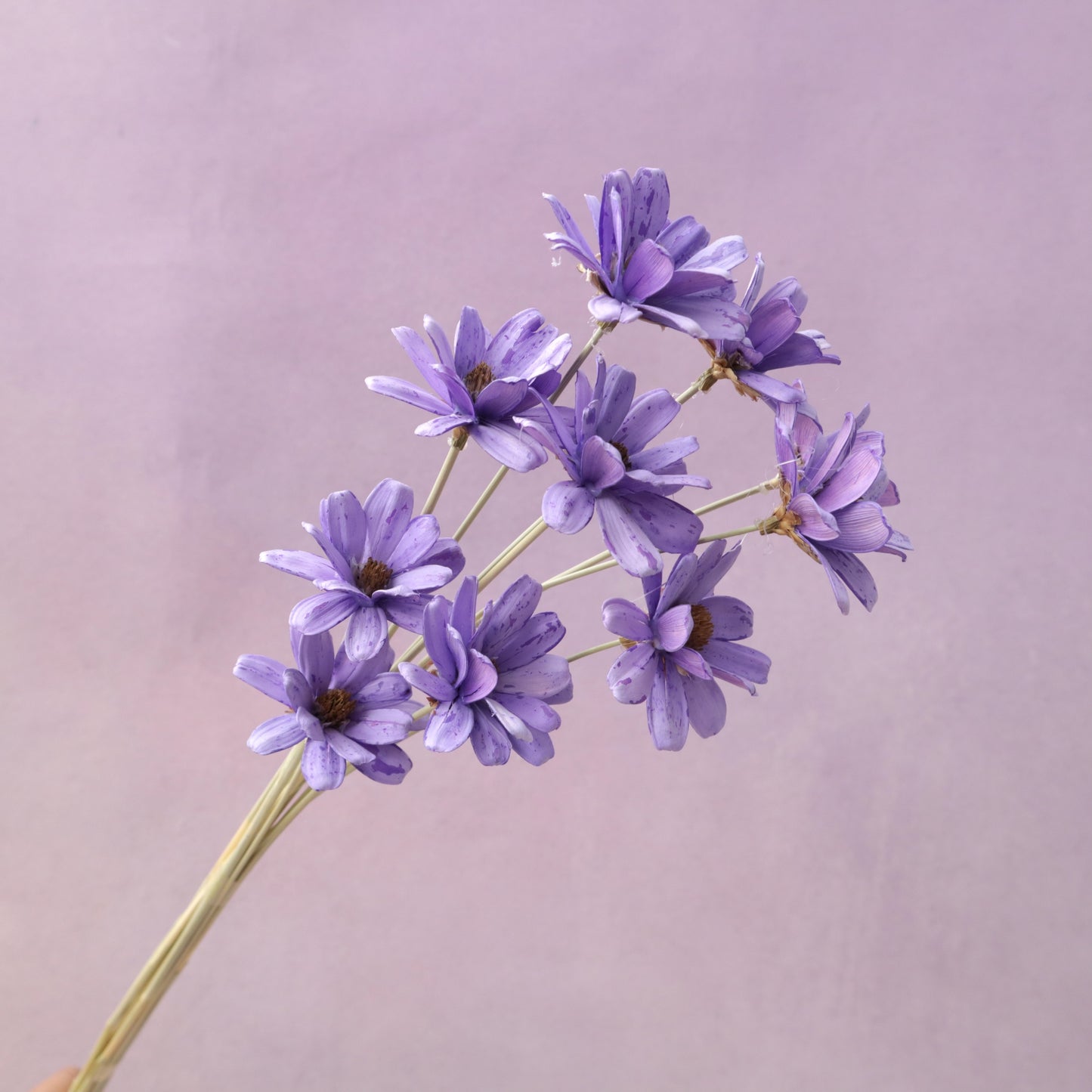 Handmade Daisy Purple