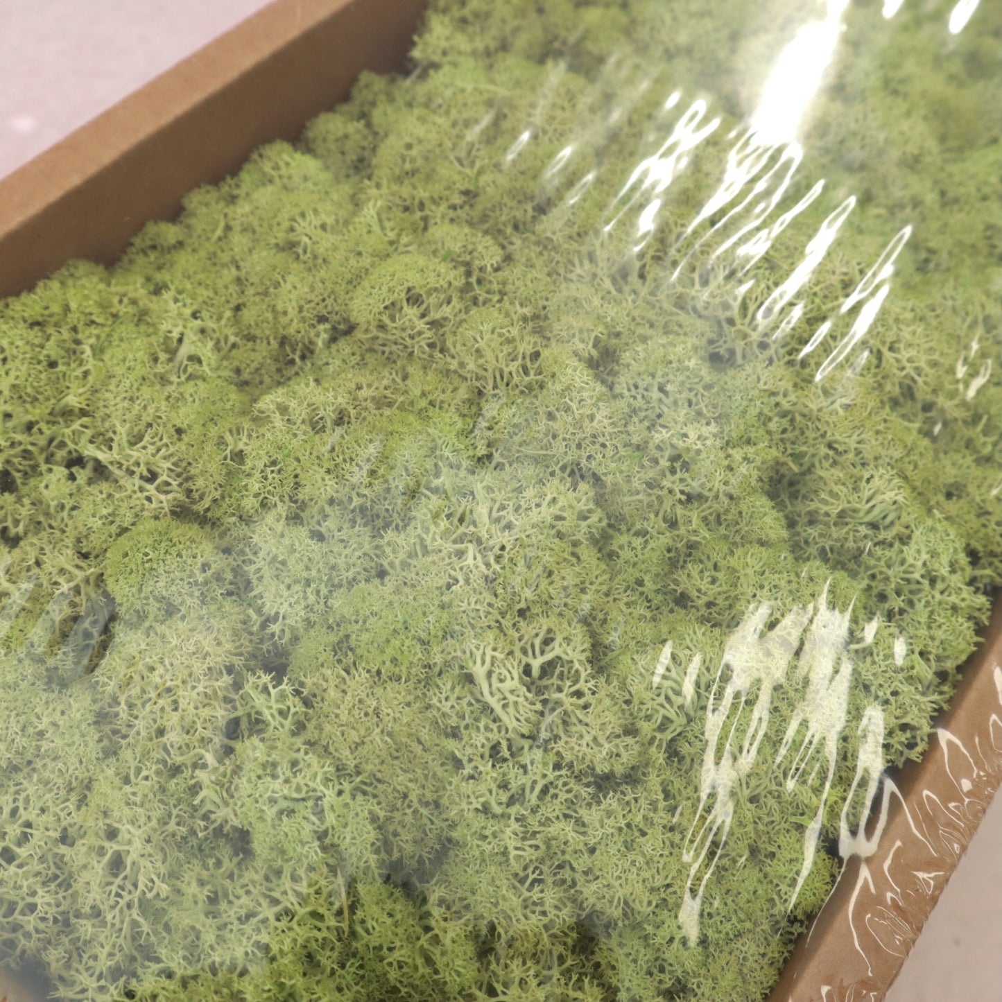 Moss Olive Green