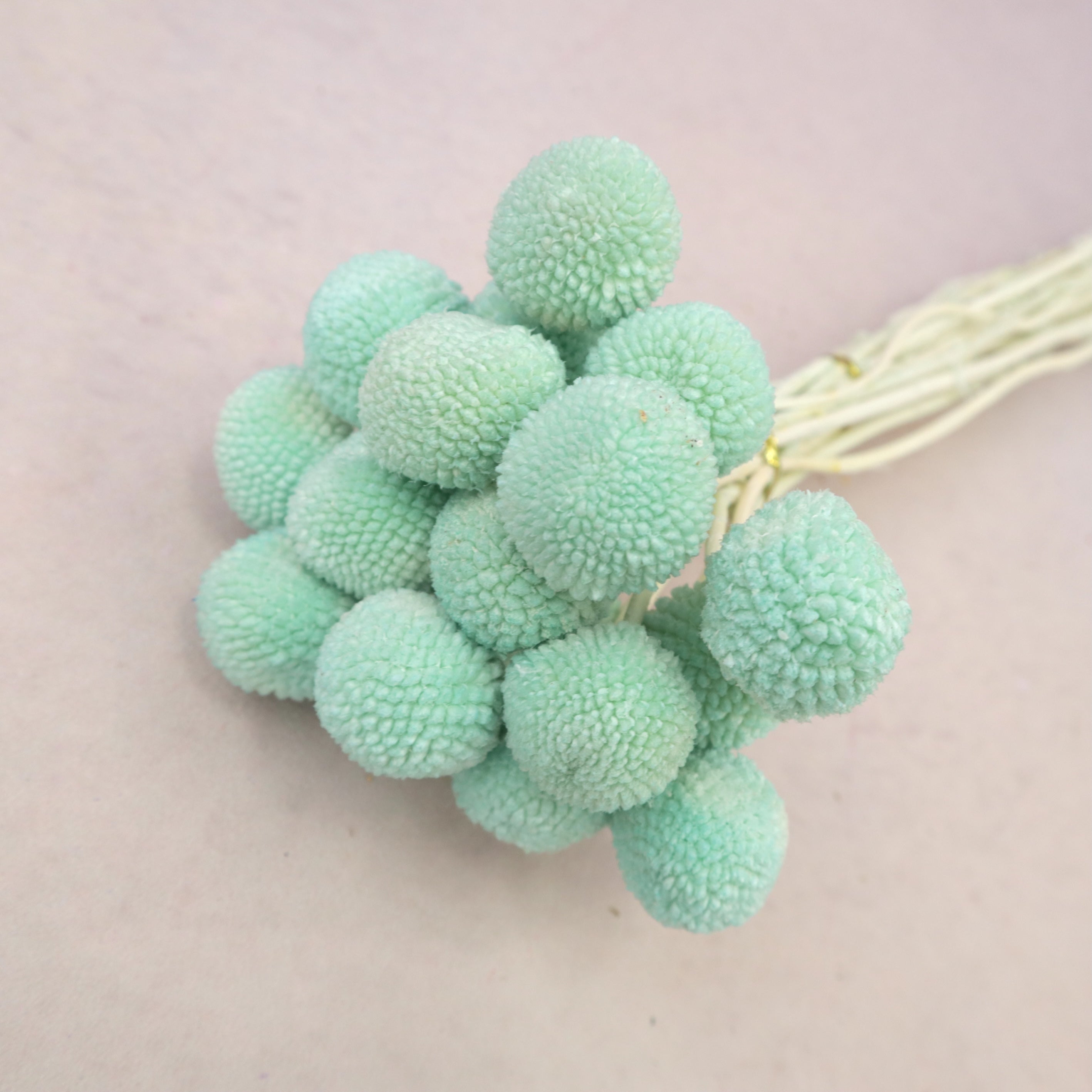 Billy Button Mint