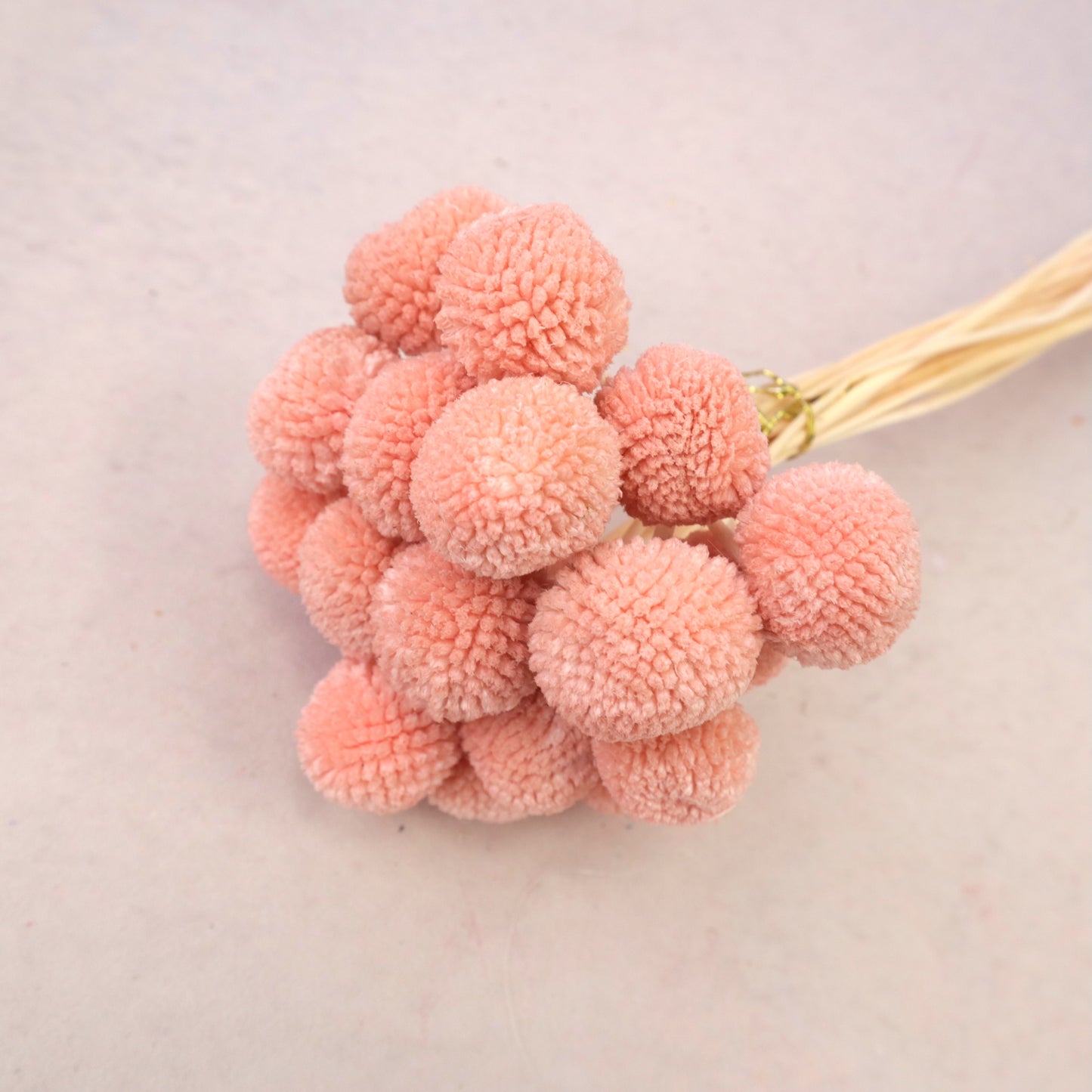 Billy Button Pink