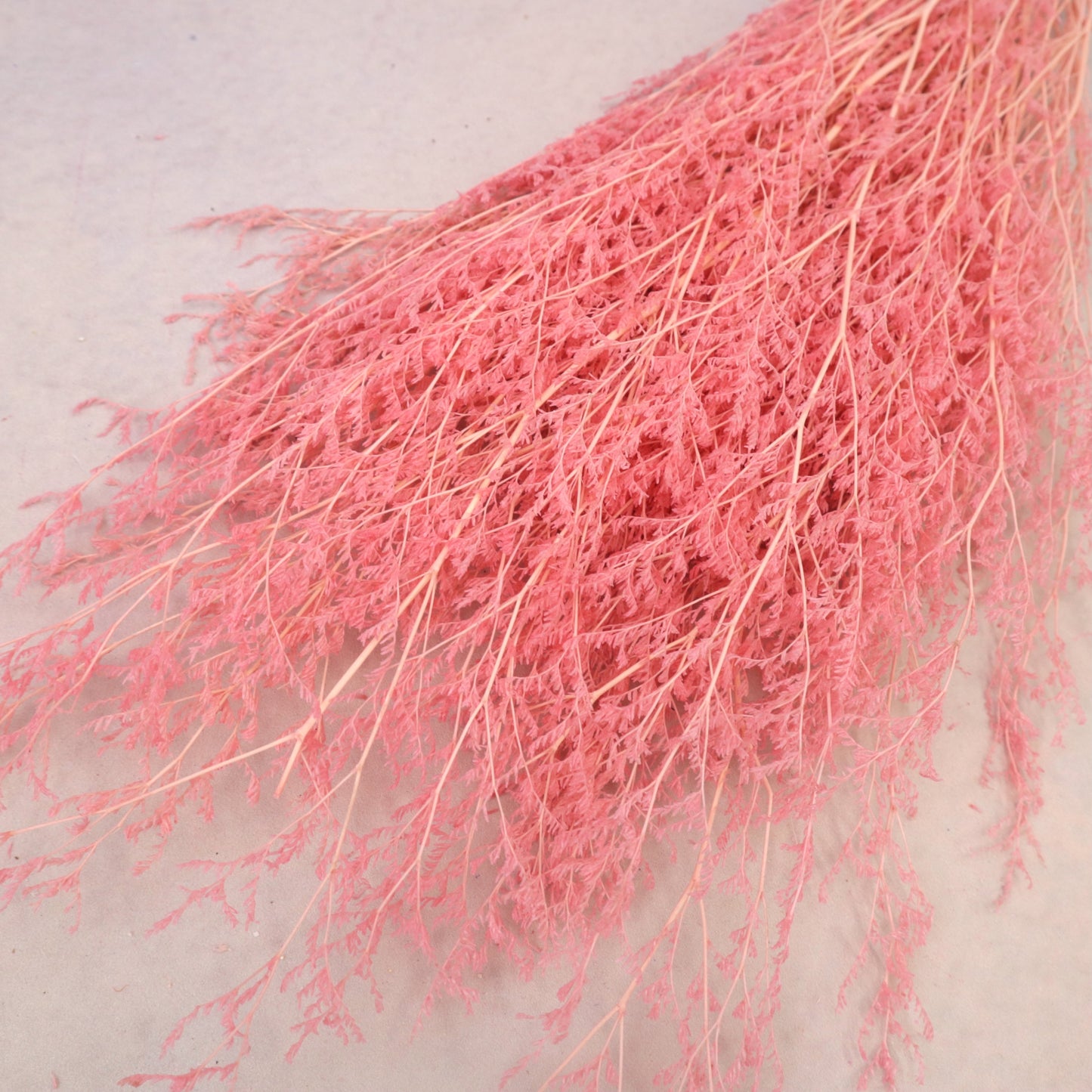Misty Bleached Pink