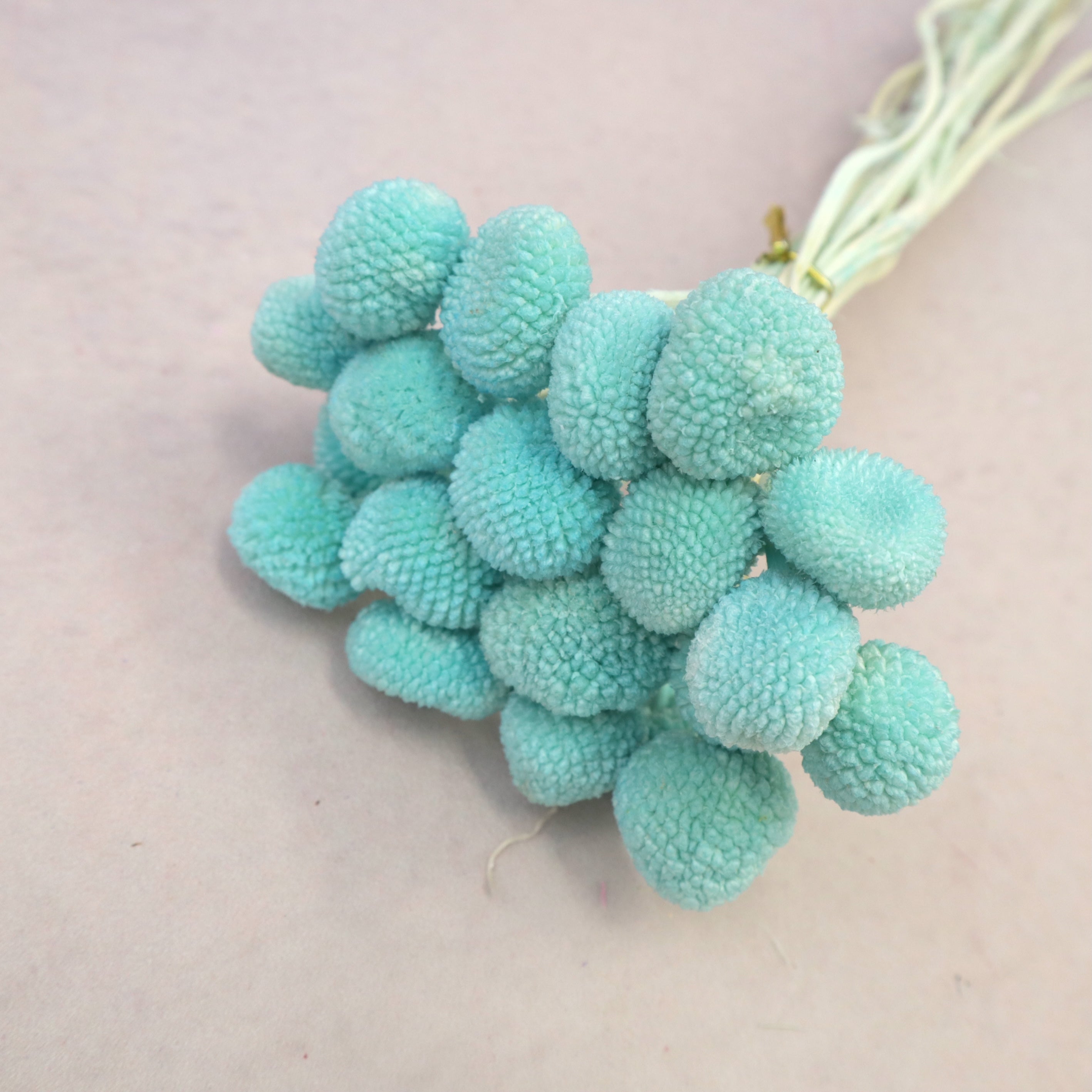 Billy Button Tiffany Blue