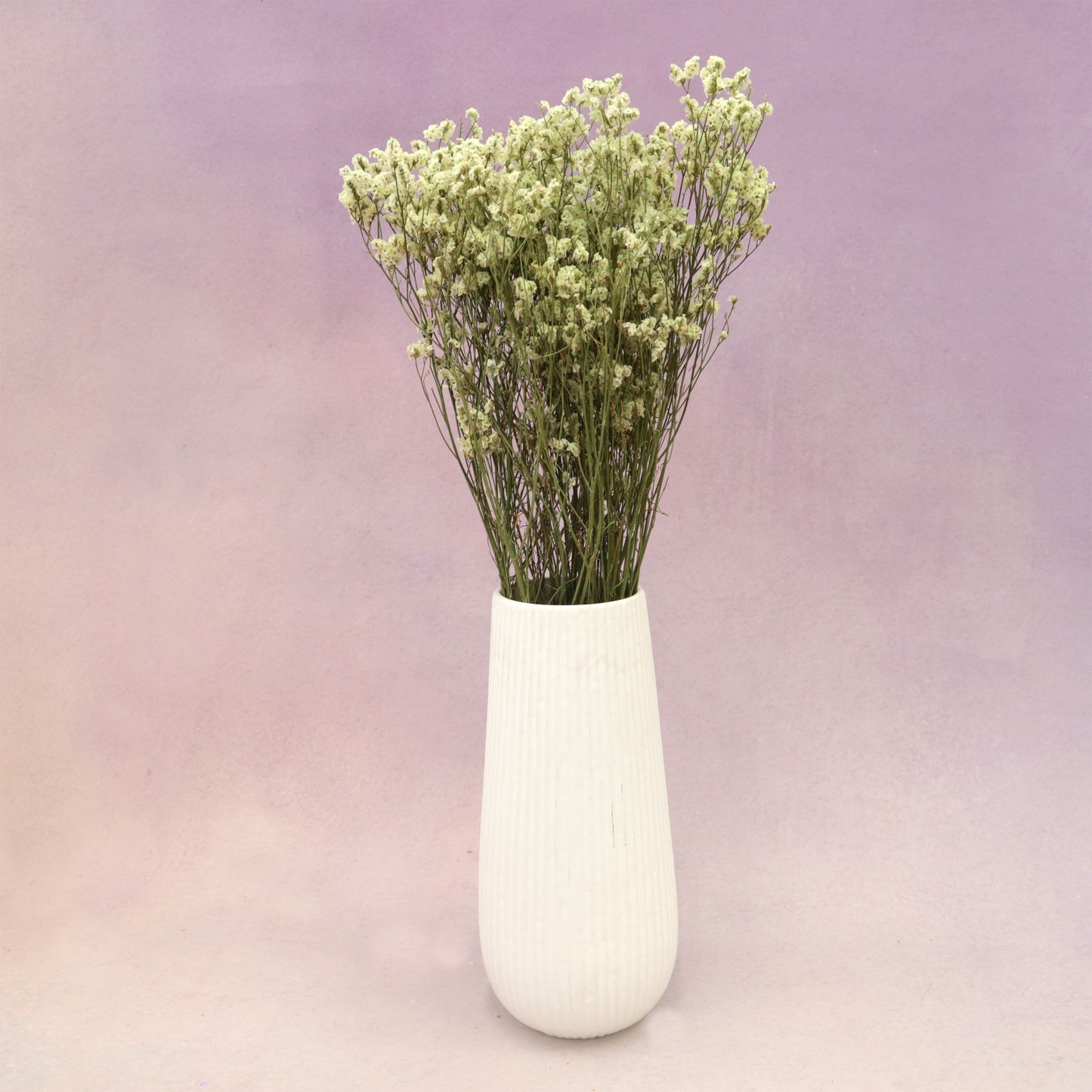 Statice Limonium Sinuatum Pastel Green