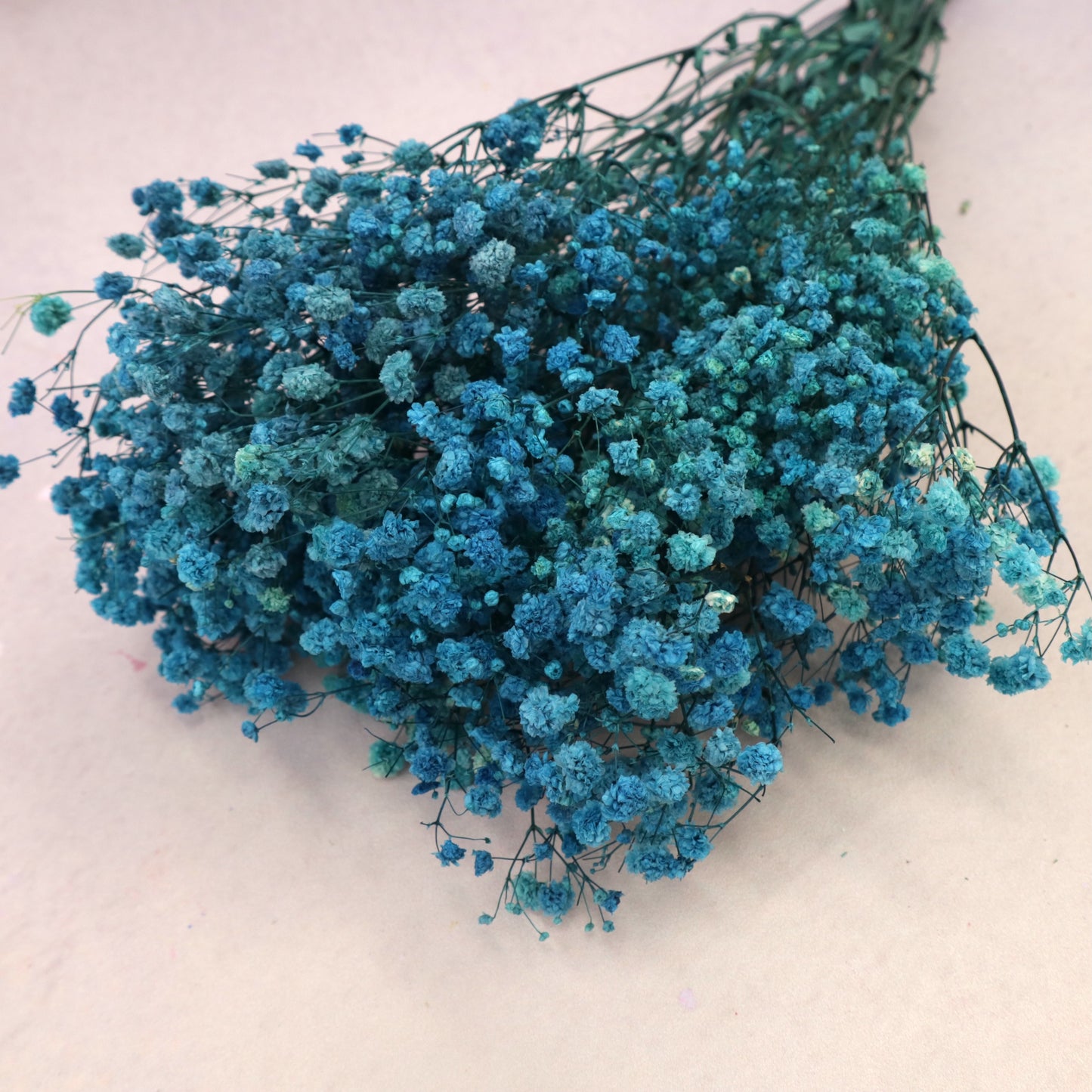 Baby's Breath Peacock Blue