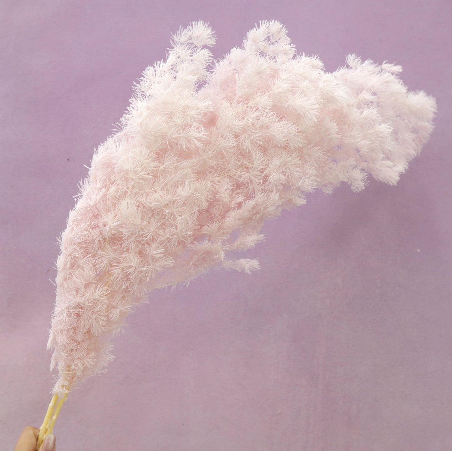 Ming Fern Baby Pink