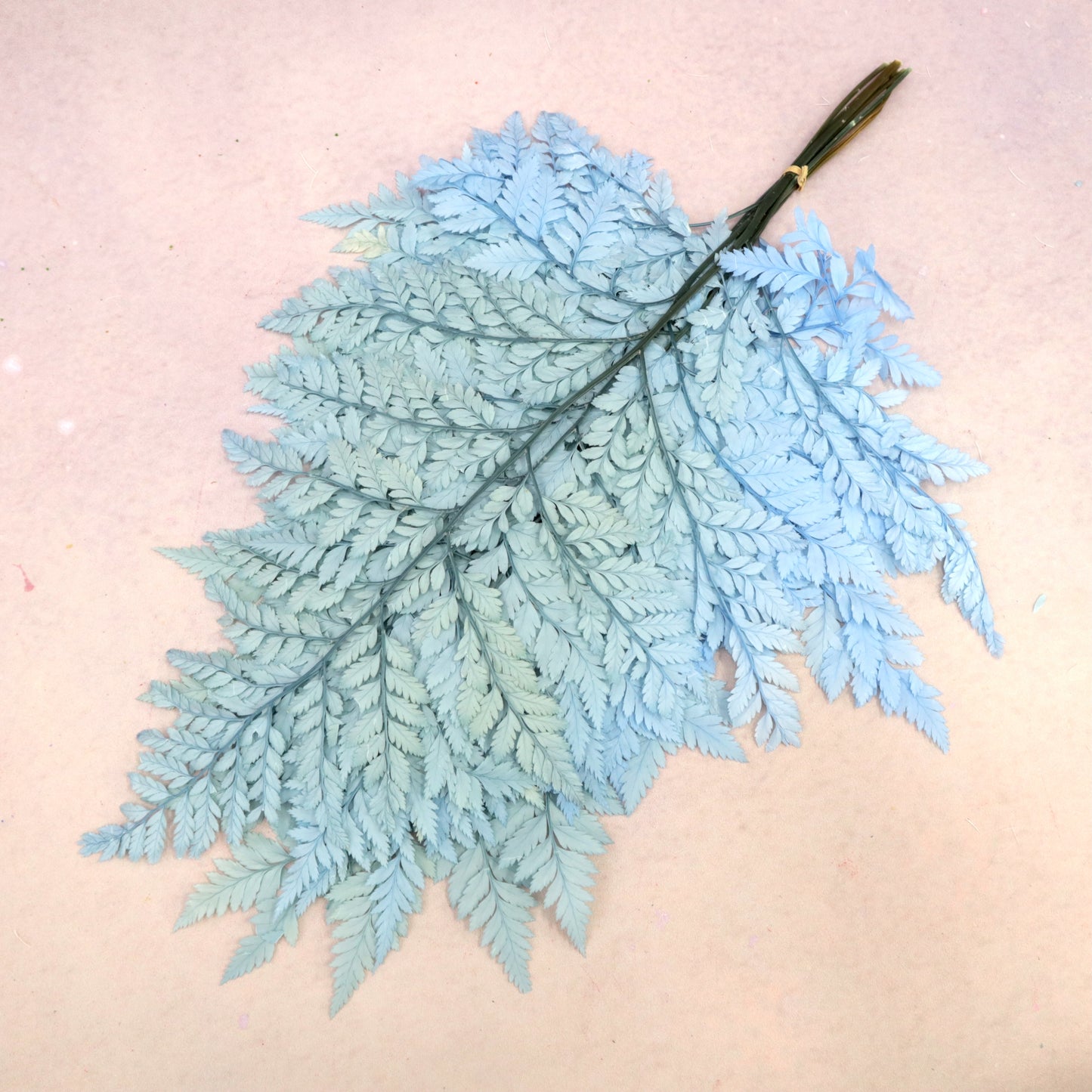 Leather Fern Small Blue (clearance)