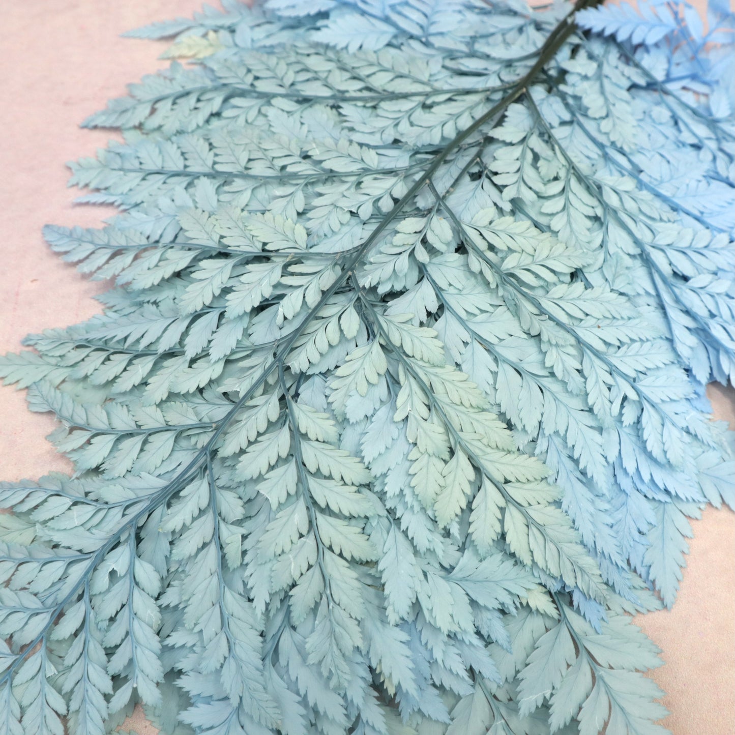 Leather Fern Small Blue (clearance)
