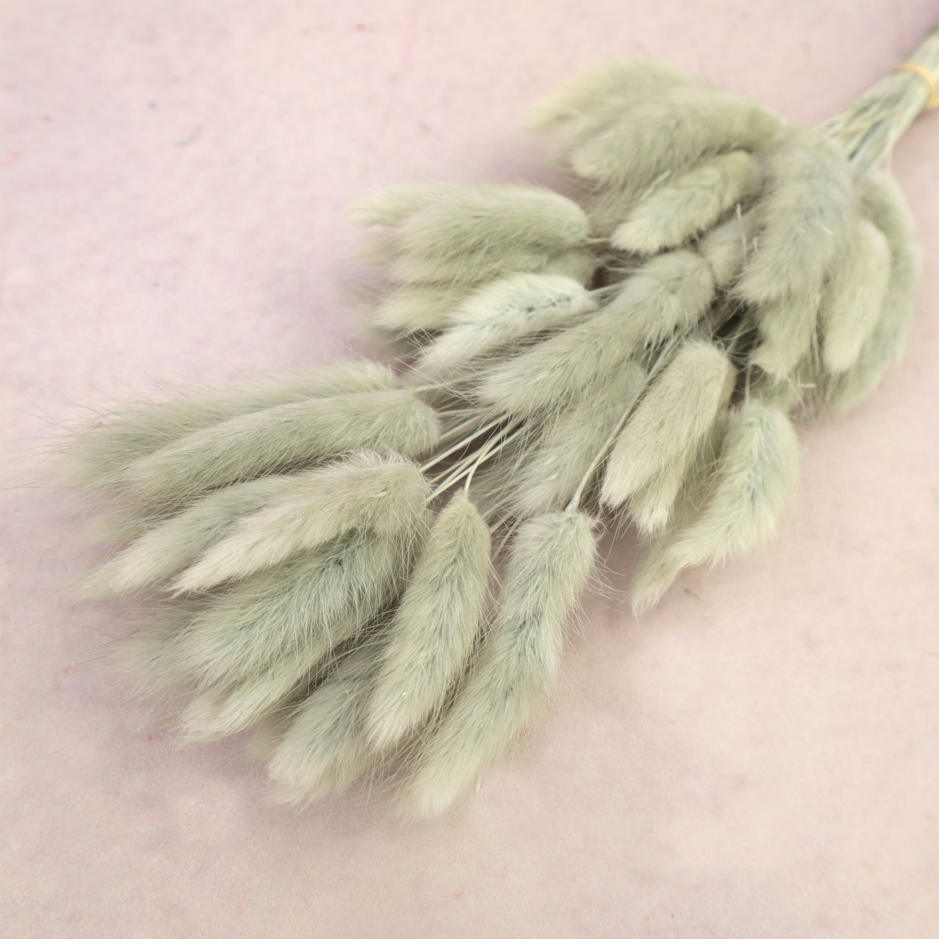 Bunny Tails Ash Grey