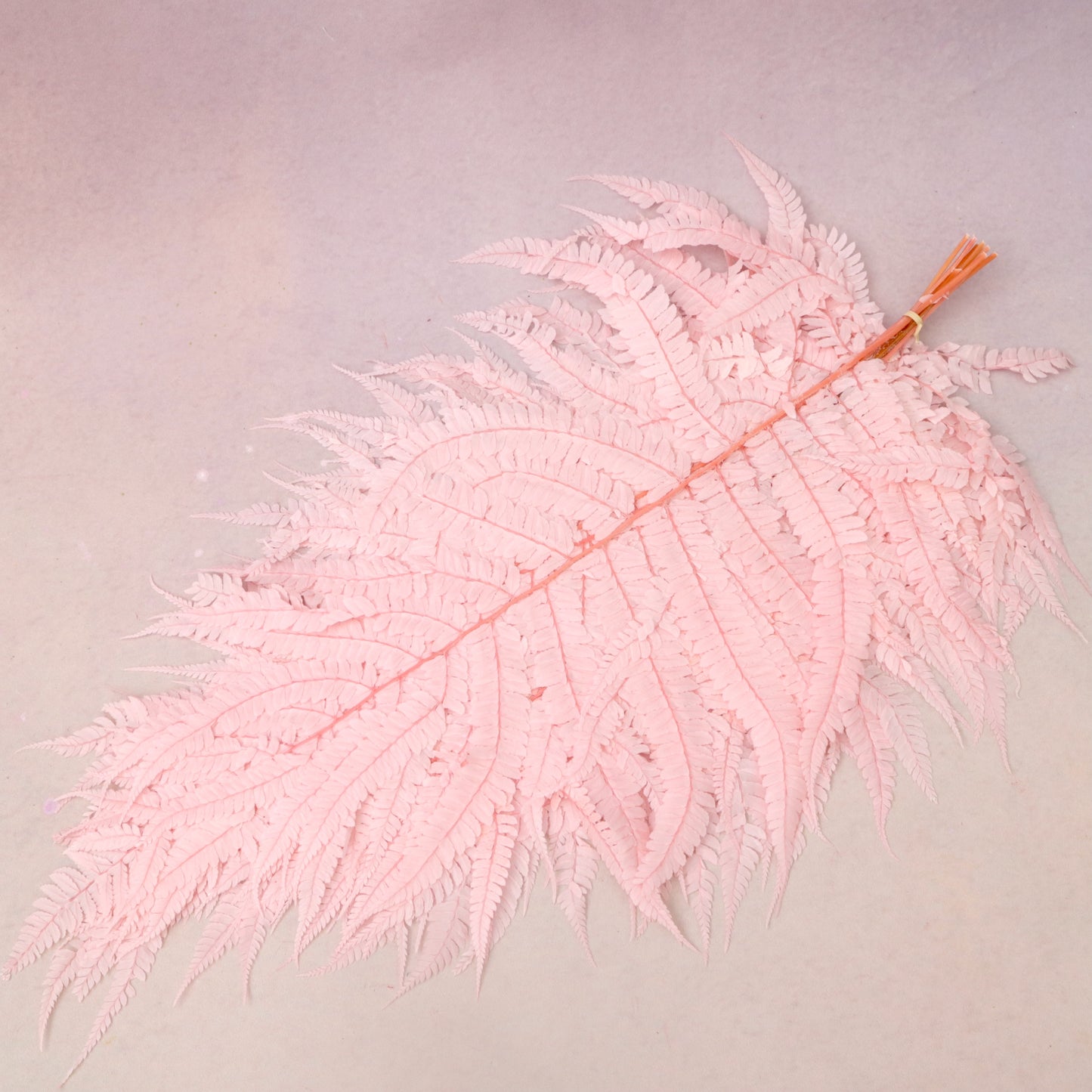 Leather Fern Large Pink