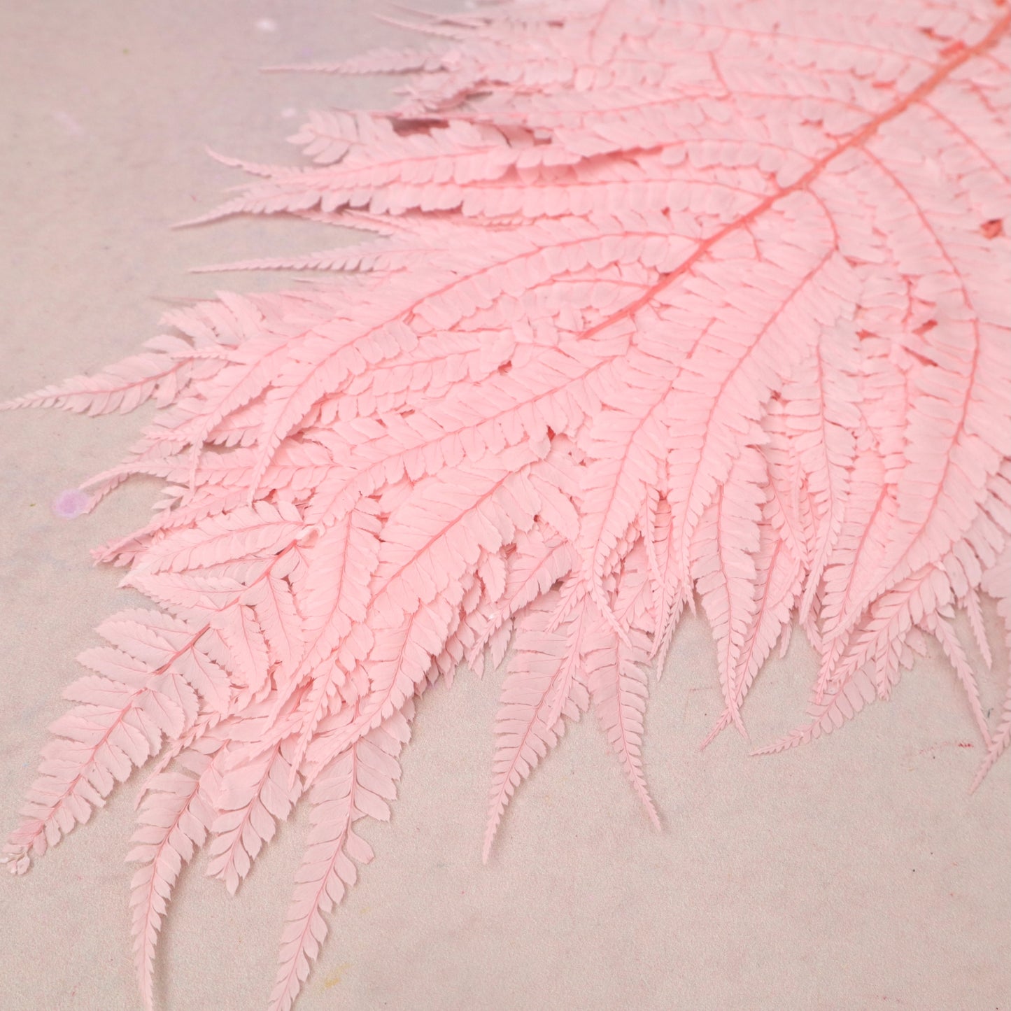 Leather Fern Large Pink