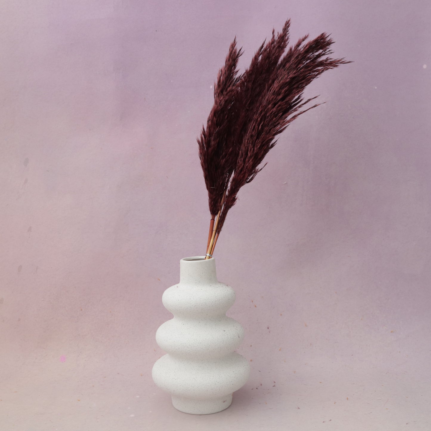 Giant Reeds Grass Wine Red