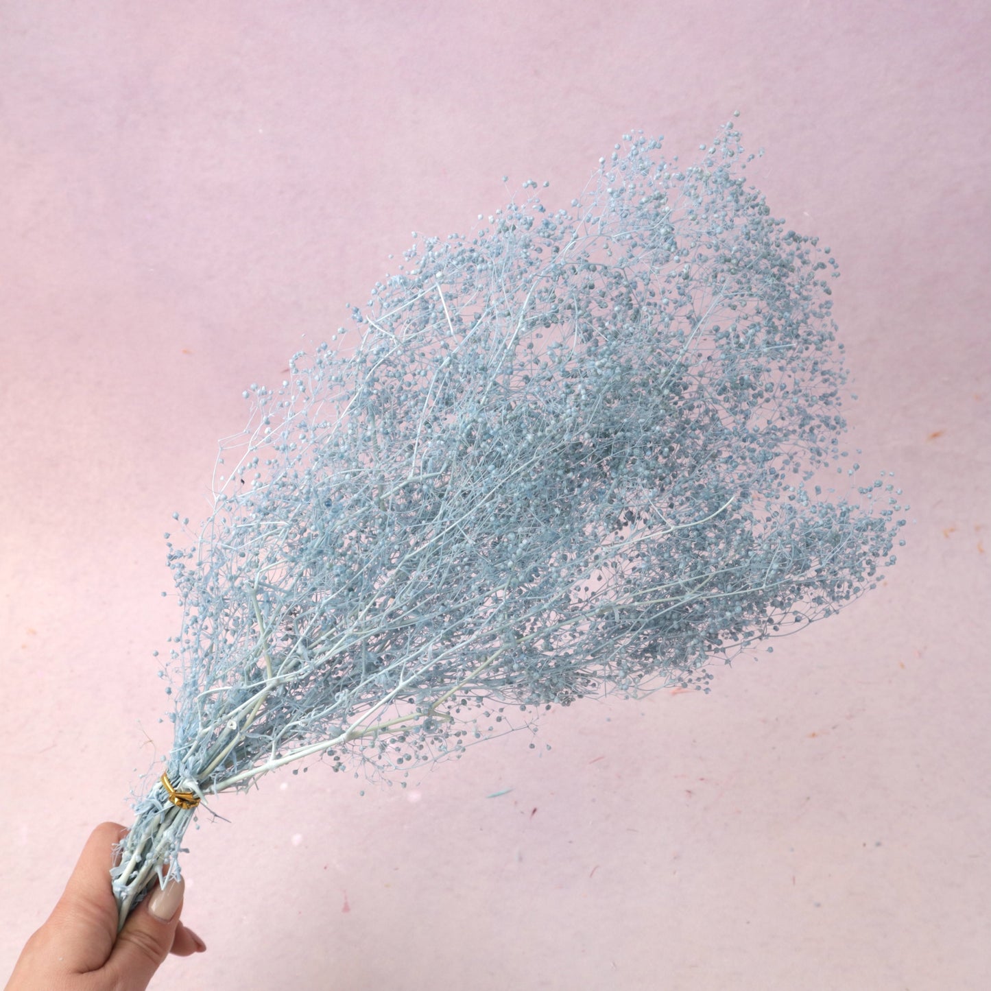 Snowy Baby's Breath Dusty Blue