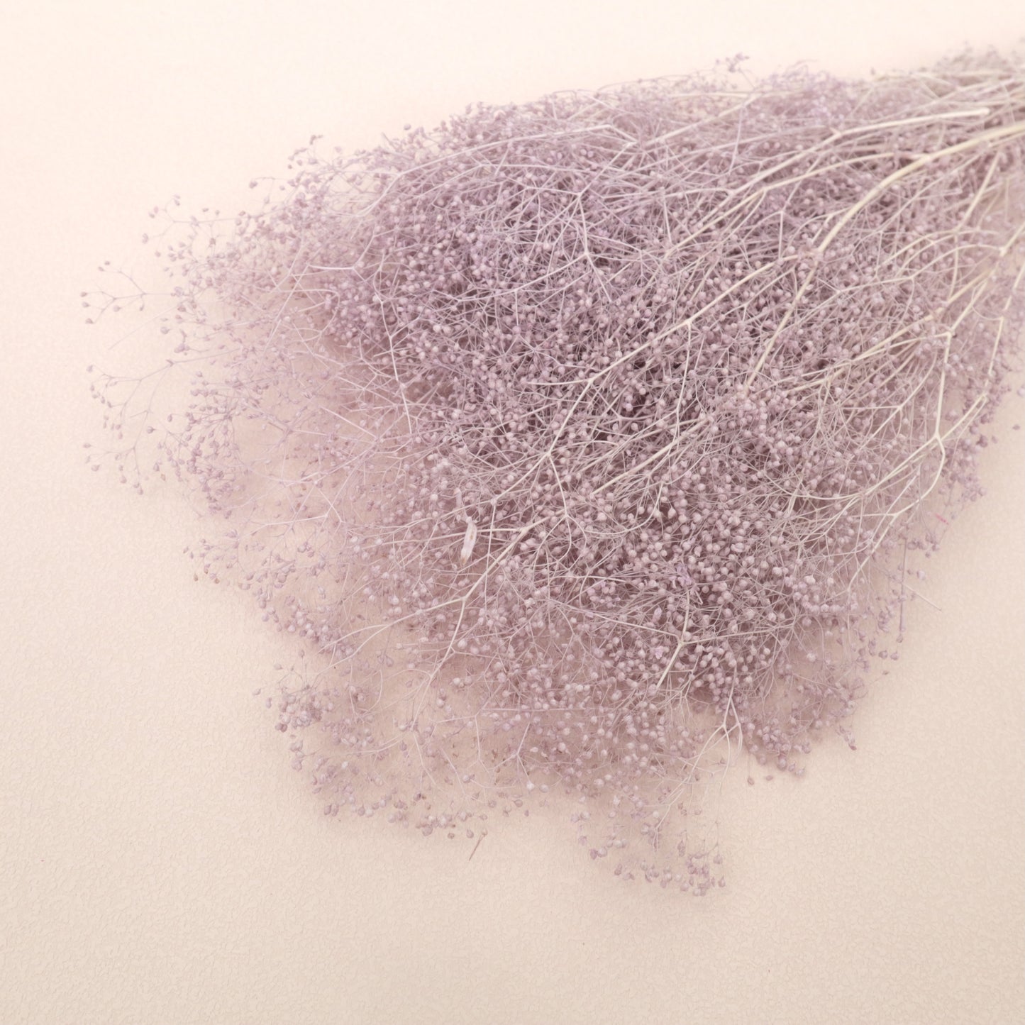 Snowy Baby's Breath Purple