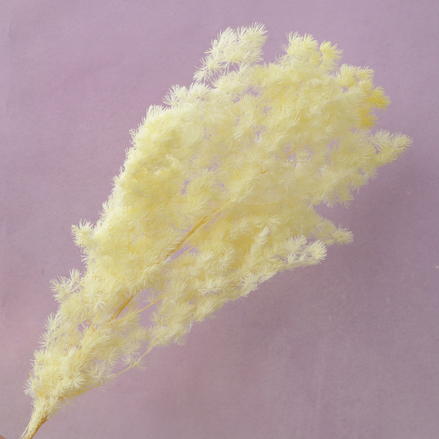 Ming Fern Pastel Yellow