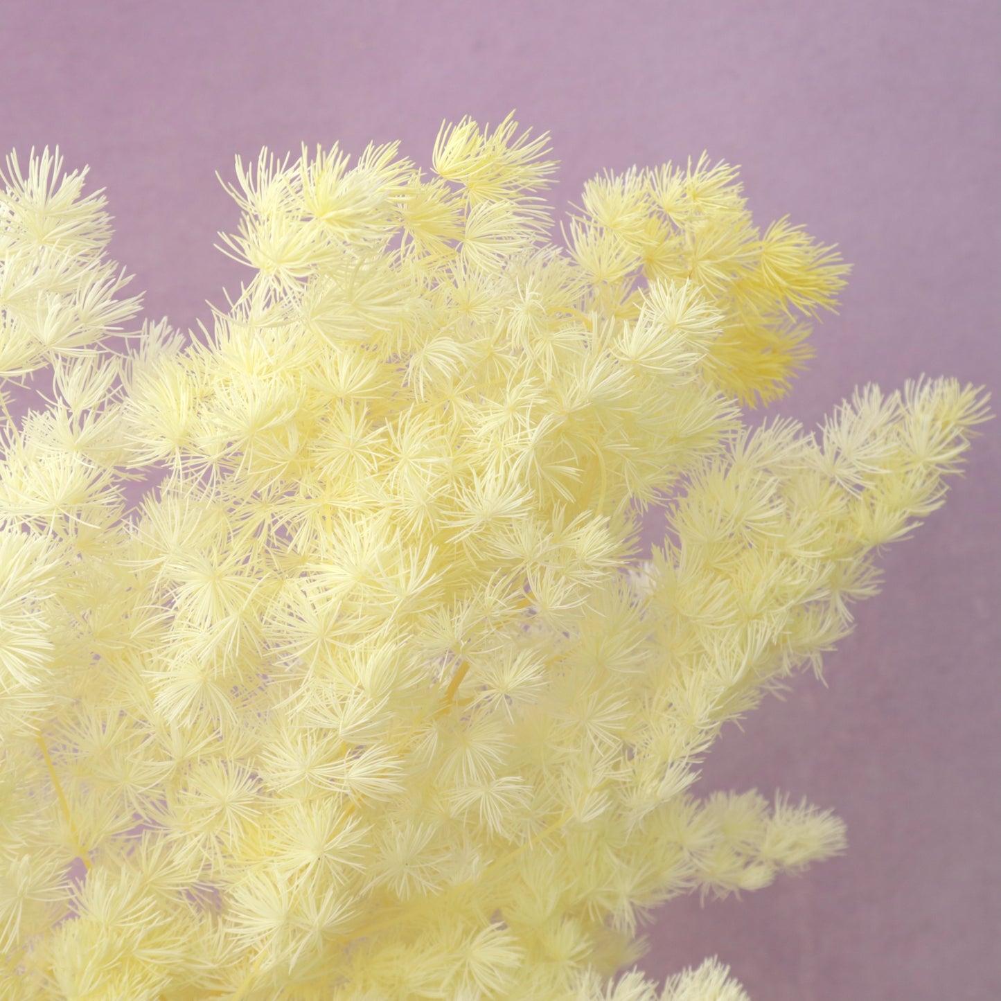 Ming Fern Pastel Yellow