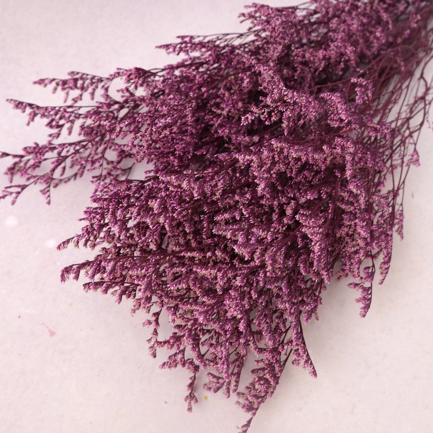 Misty Magenta