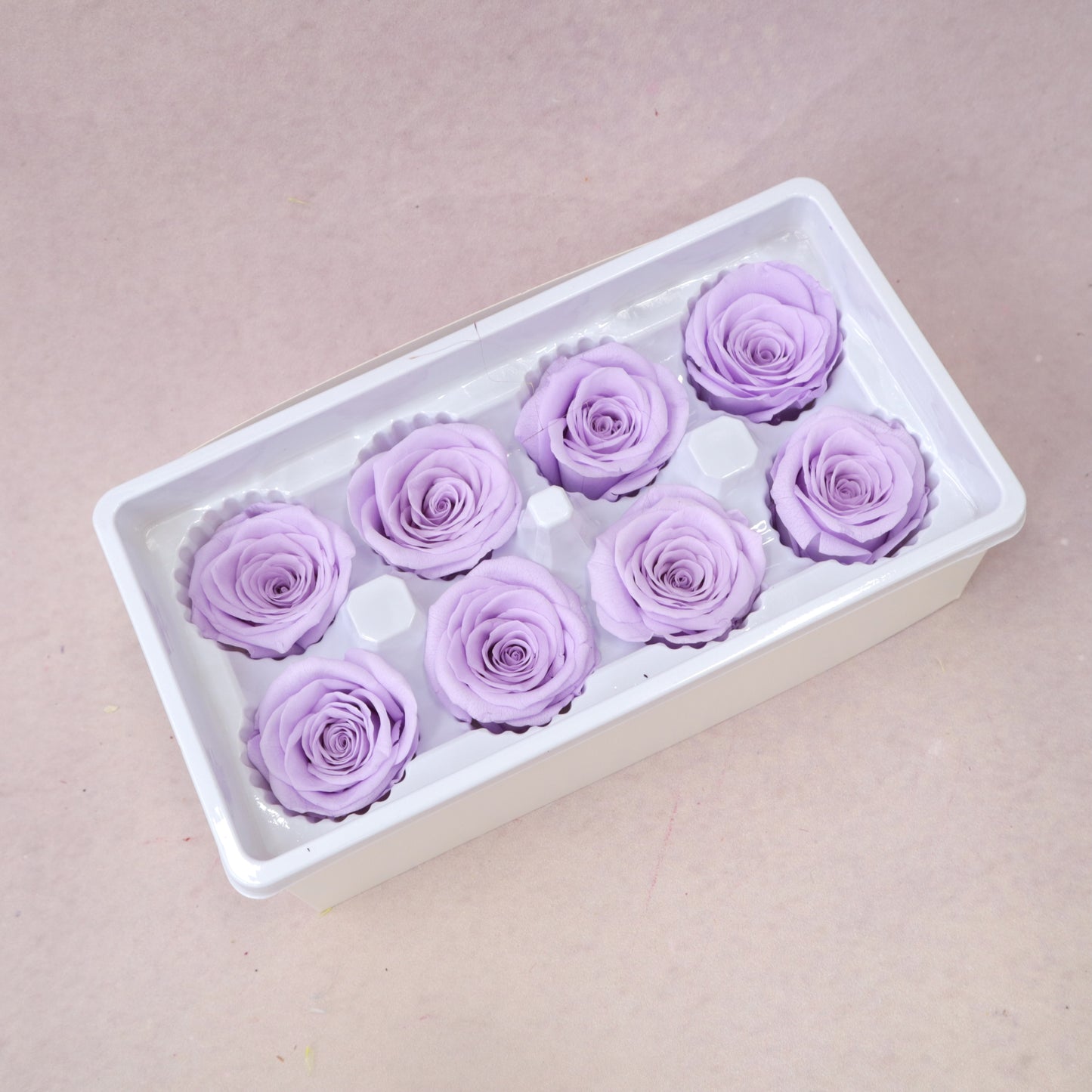Rose Lilac 8 heads