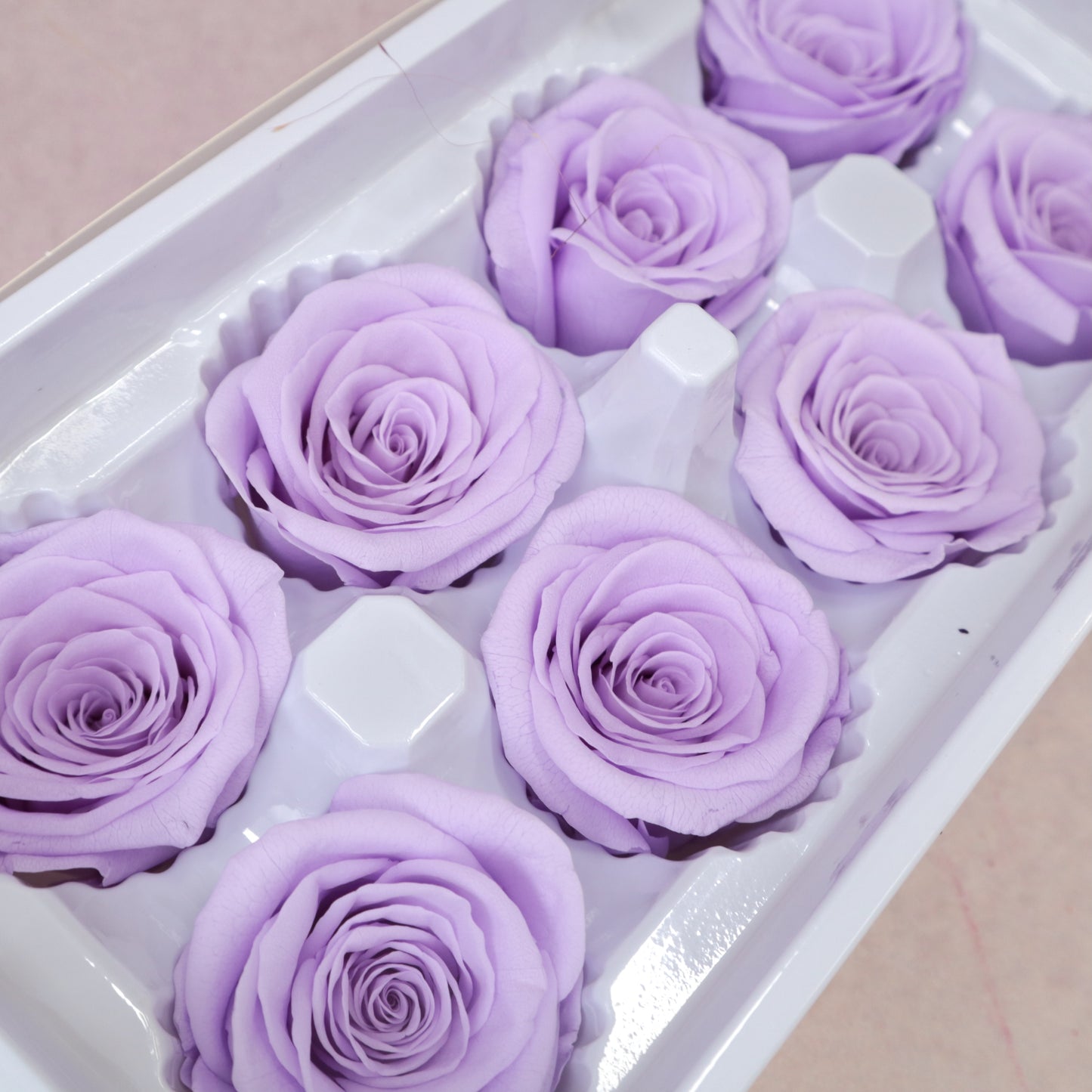 Rose Lilac 8 heads