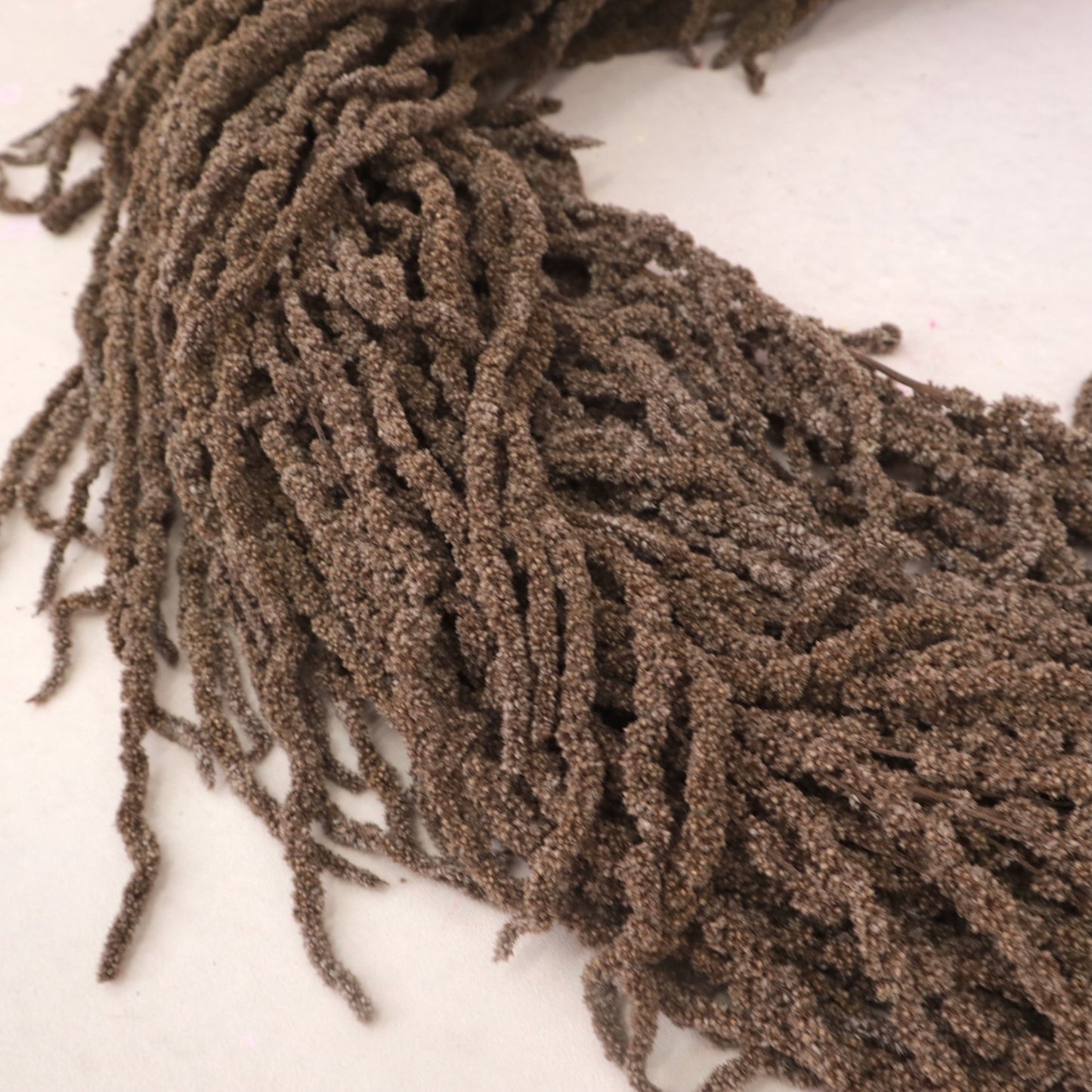 Amaranthus Dark Brown