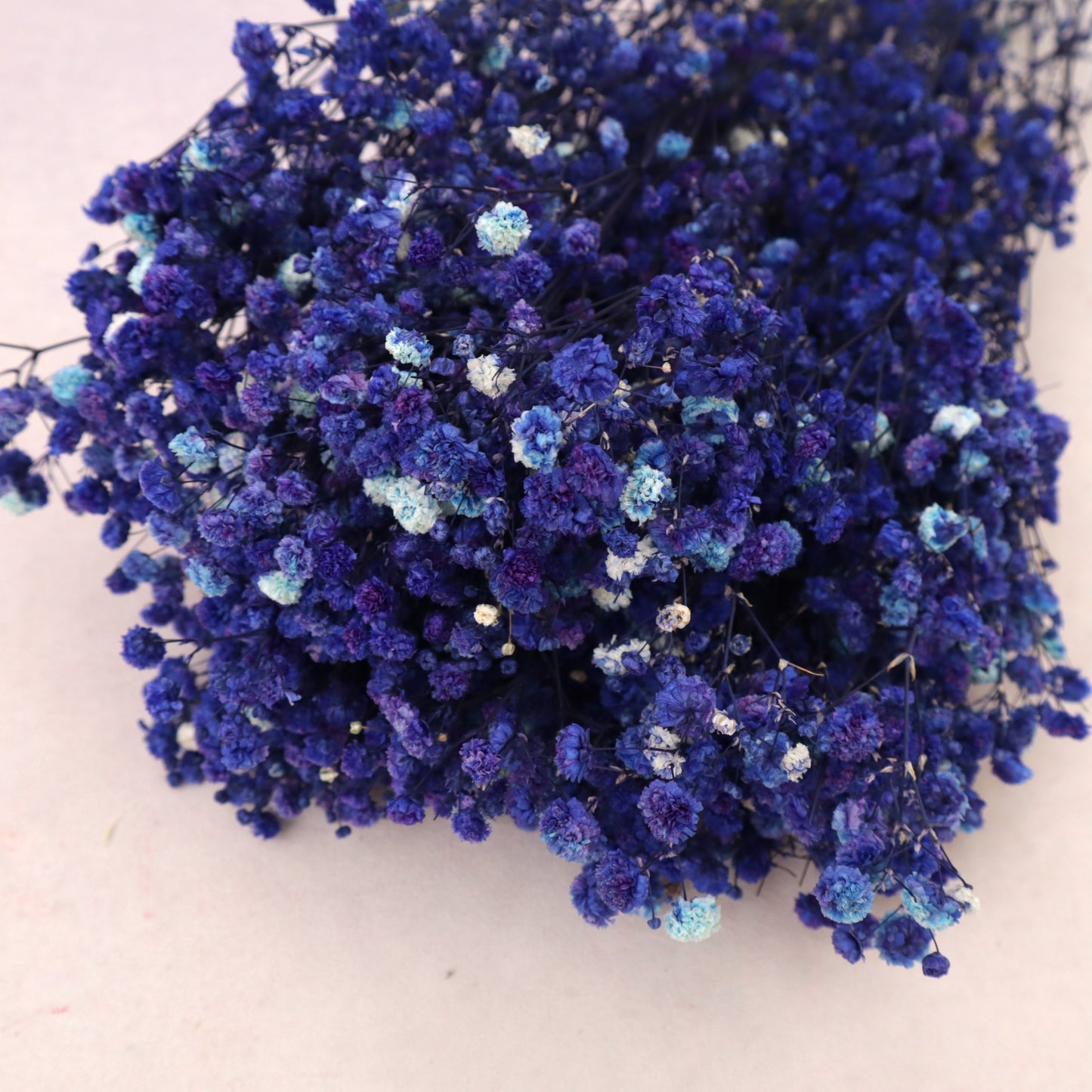 Baby's Breath Royal Blue