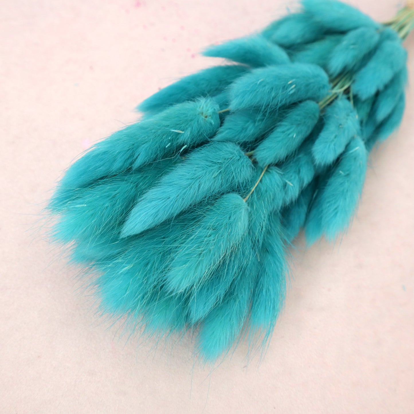 Bunny Tails Aqua