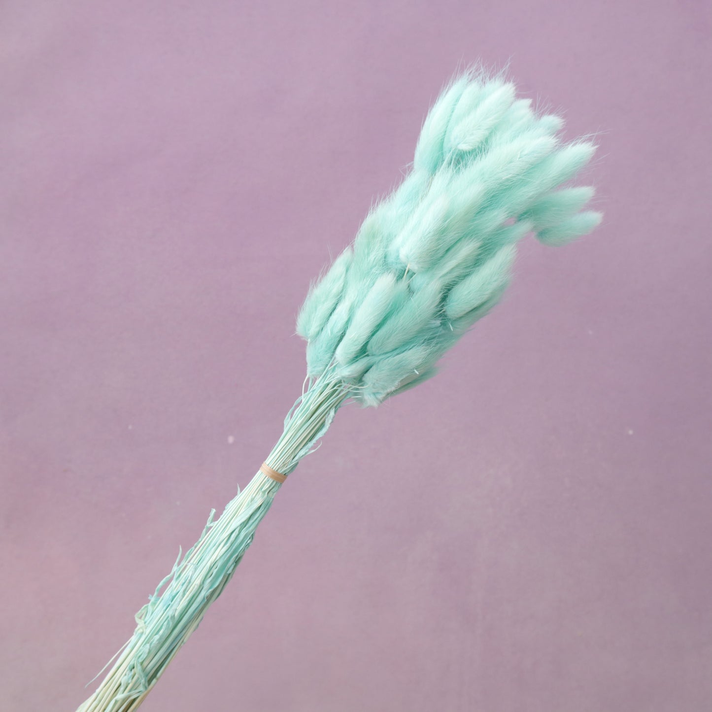 Bunny Tails Turquoise