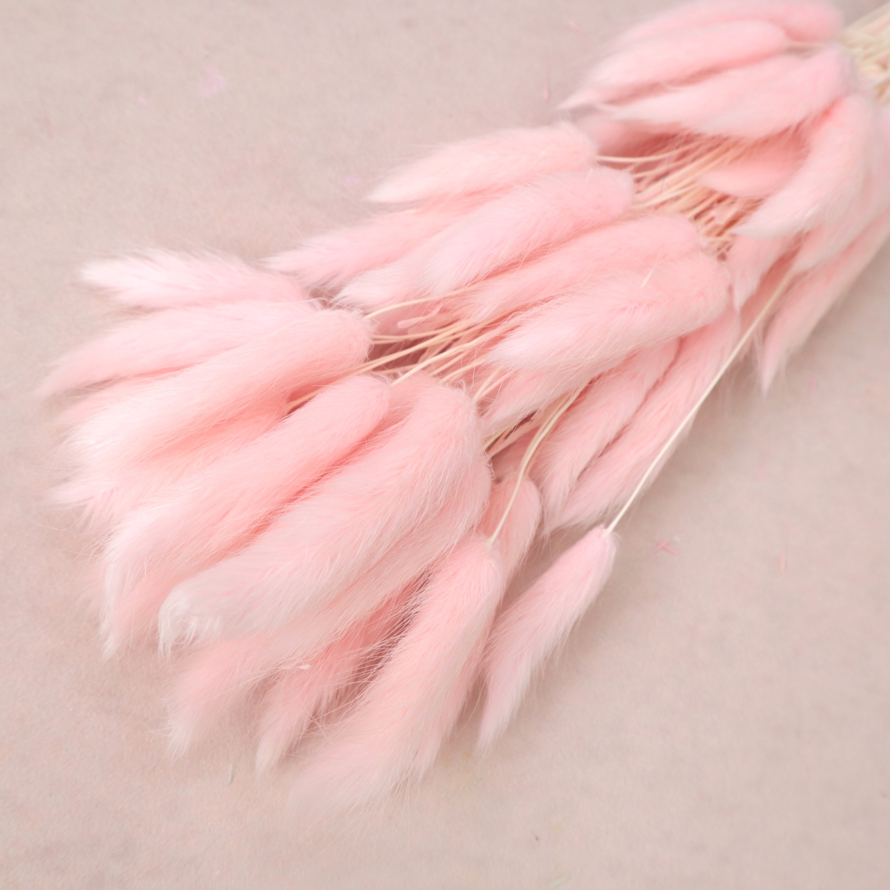 Bunny Tails Baby Pink